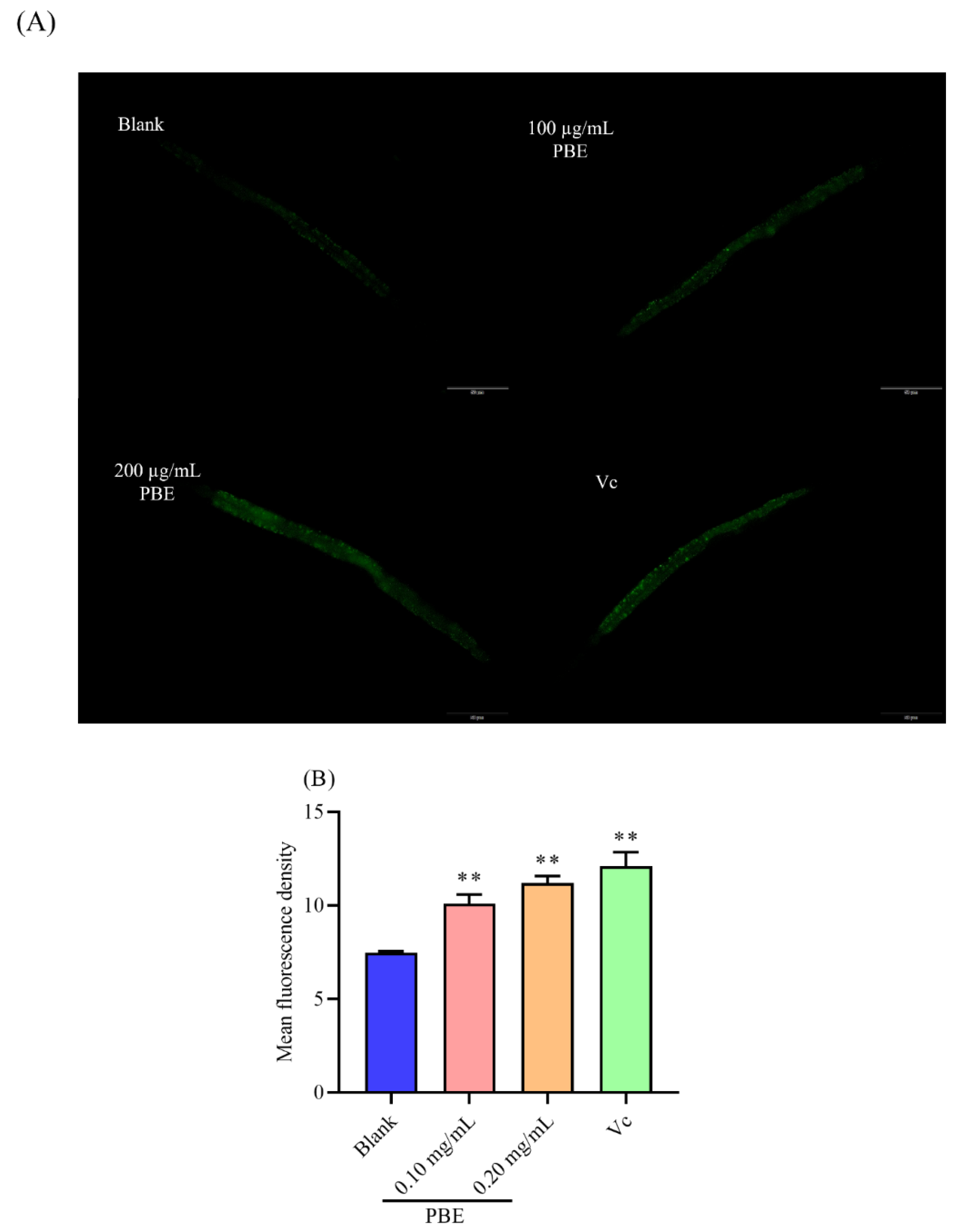 Ijms Free Full Text The Antioxidant Capacity In Vitro And In Vivo Of Polysaccharides From Bergenia Emeiensis Html