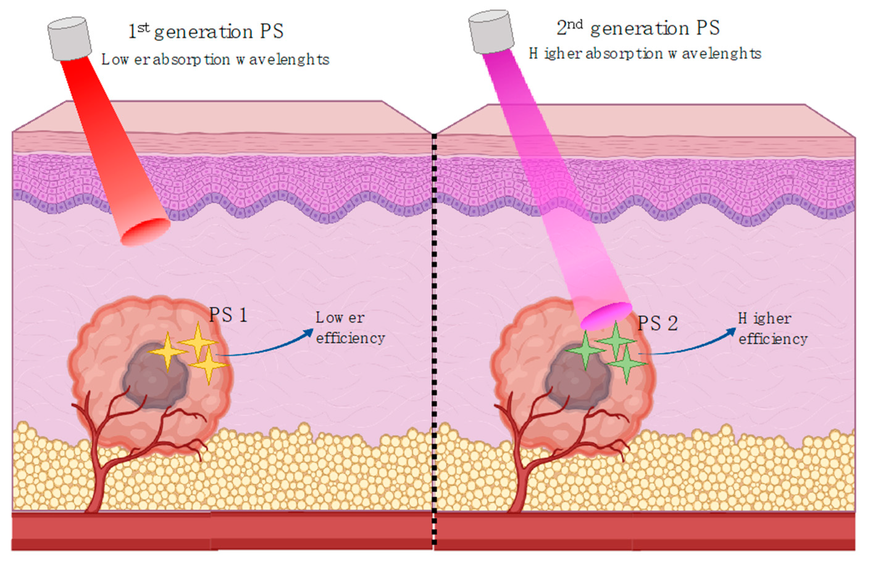 Ijms 21 07464 g005 Ijms 21 07464 g005