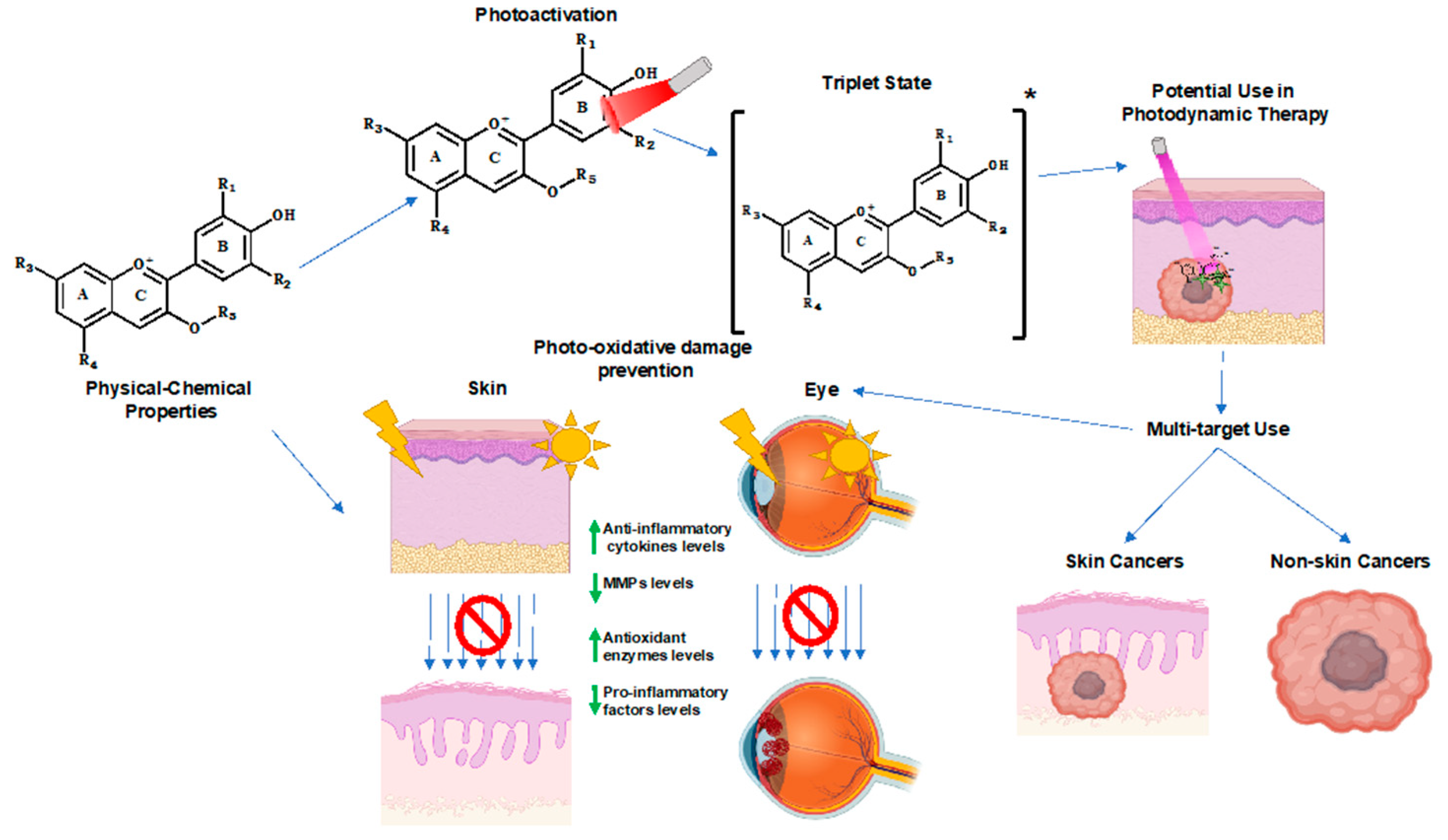 Ijms 21 07464 g006 Ijms 21 07464 g006