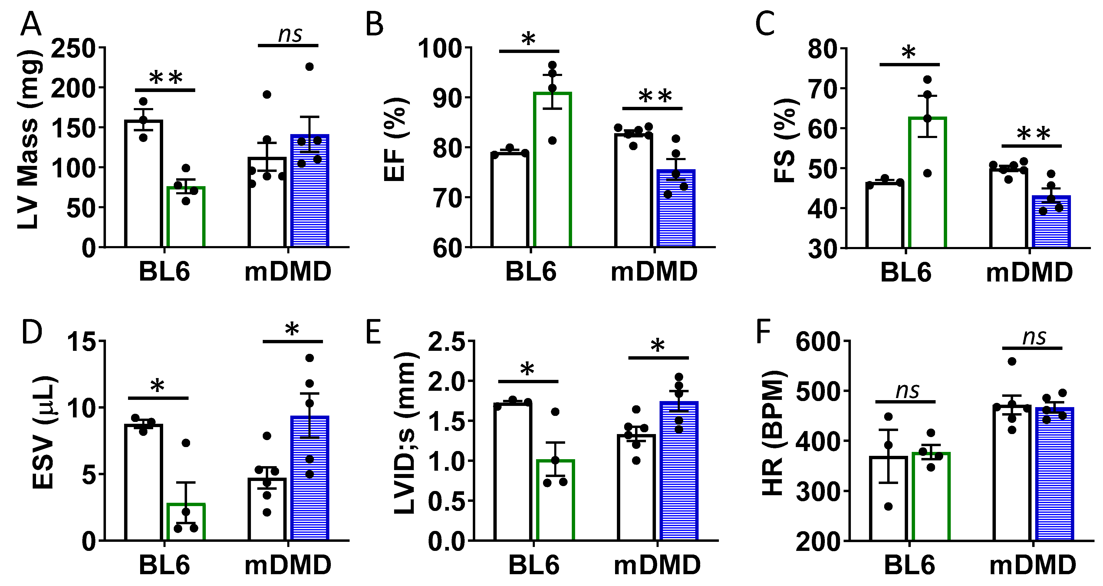 Ijms 21 07466 g006 Ijms 21 07466 g006