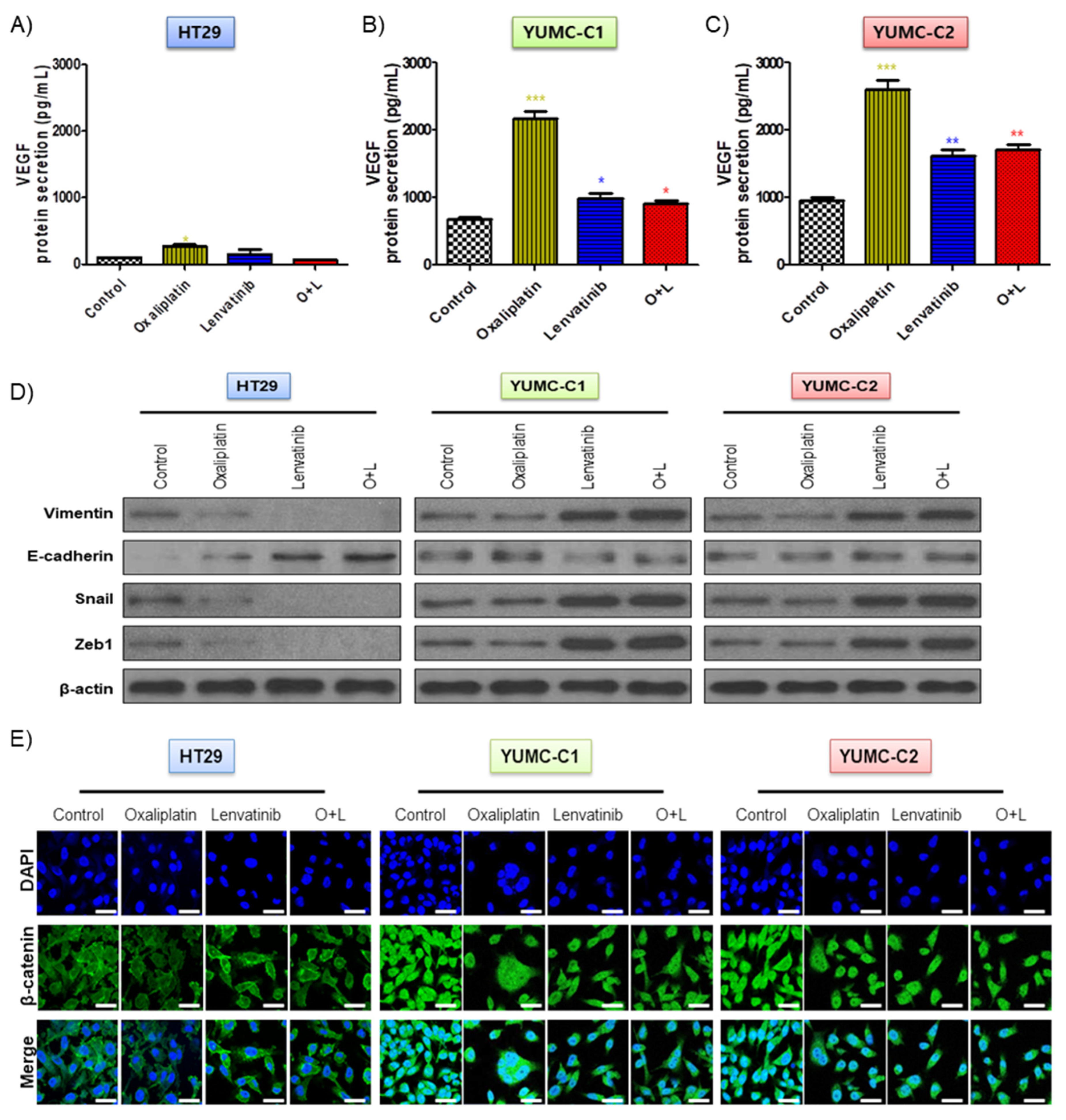 Ijms 21 07469 g003 Ijms 21 07469 g003