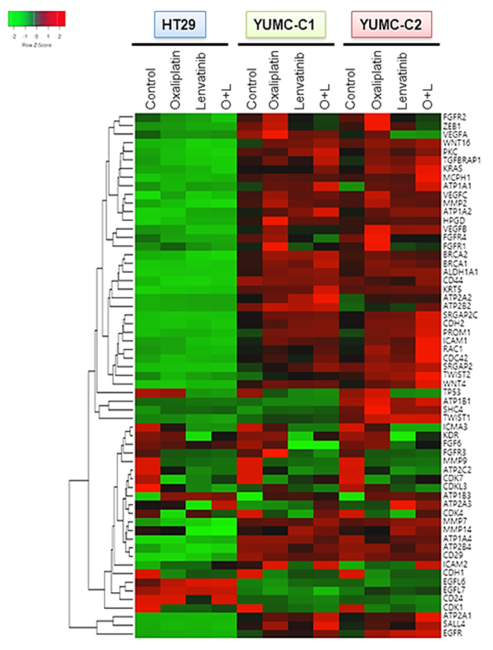 Ijms 21 07469 g004 Ijms 21 07469 g004