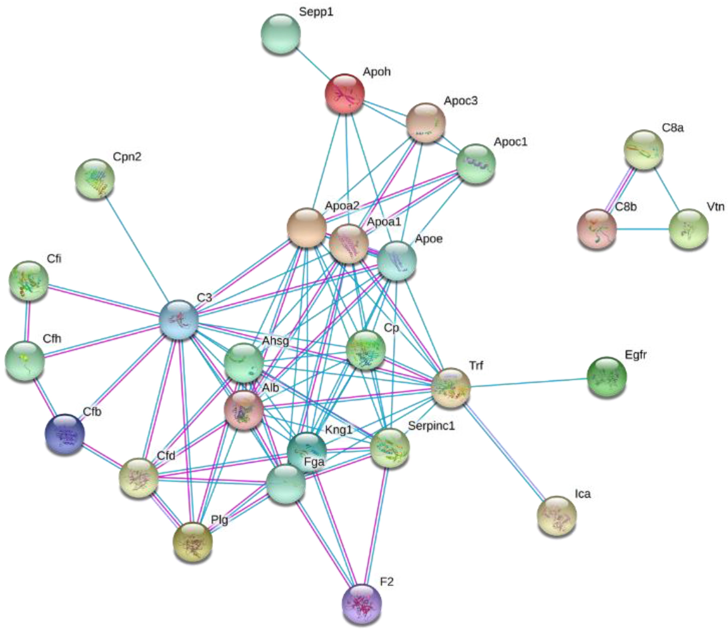 Ijms 21 07472 g005 Ijms 21 07472 g005