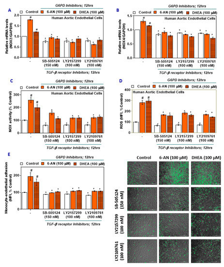 is liposomal glutathione the same as l-glutathione Best Glutathione Supplement is liposomal glutathione the same as l-glutathione Best Glutathione Supplement