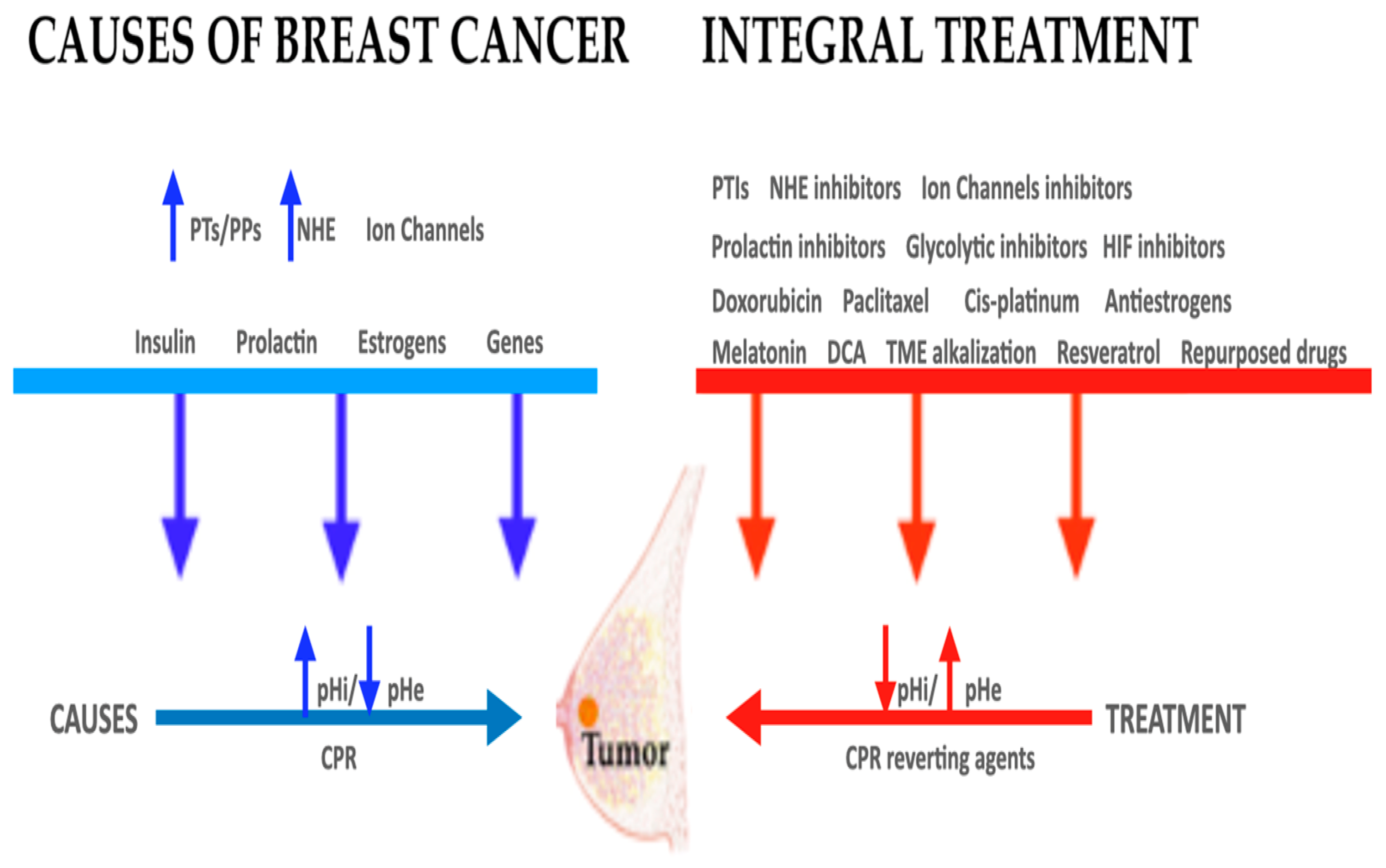 Ijms 21 07475 g001 Ijms 21 07475 g001