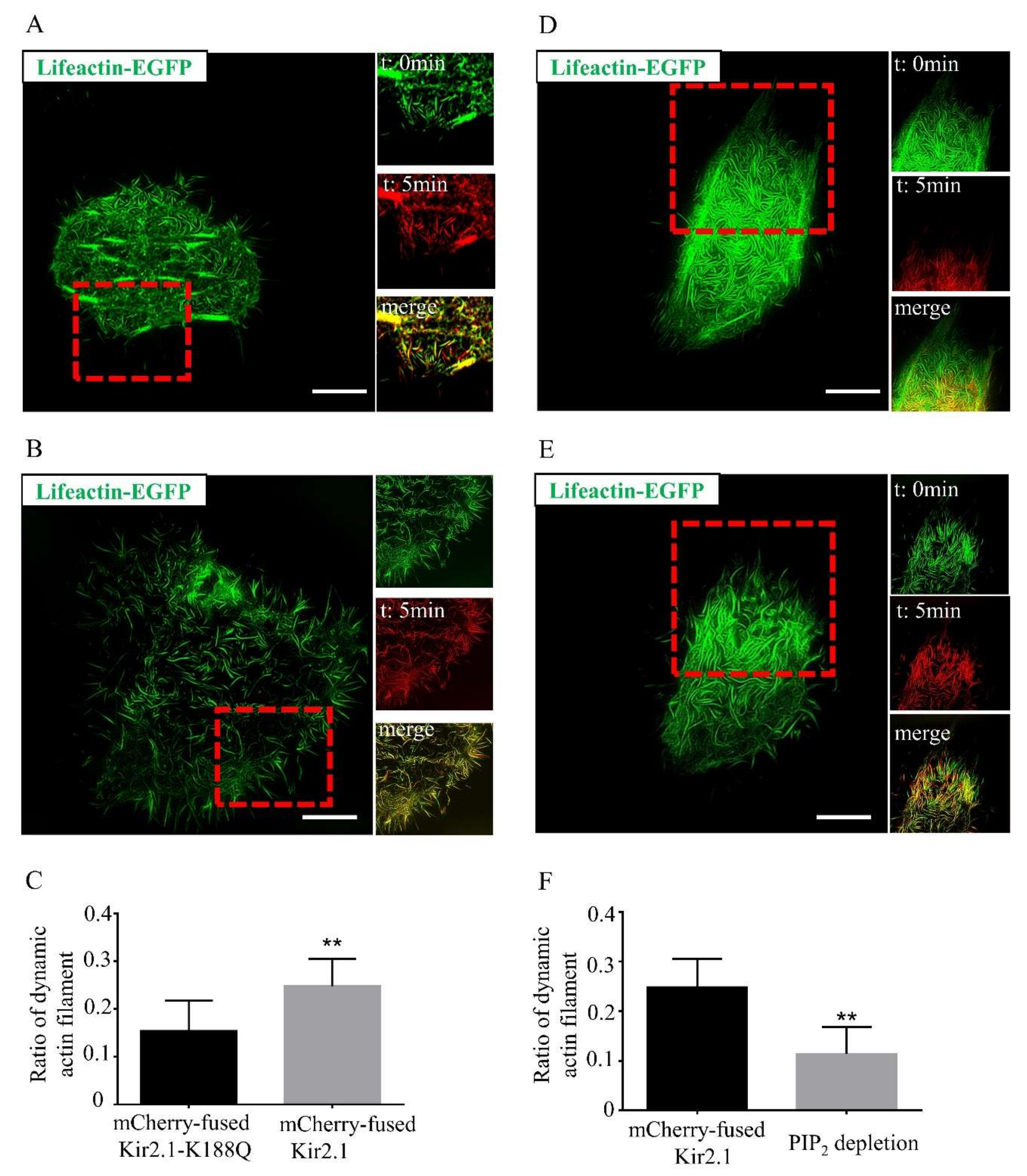 Ijms 21 07479 g003 Ijms 21 07479 g003