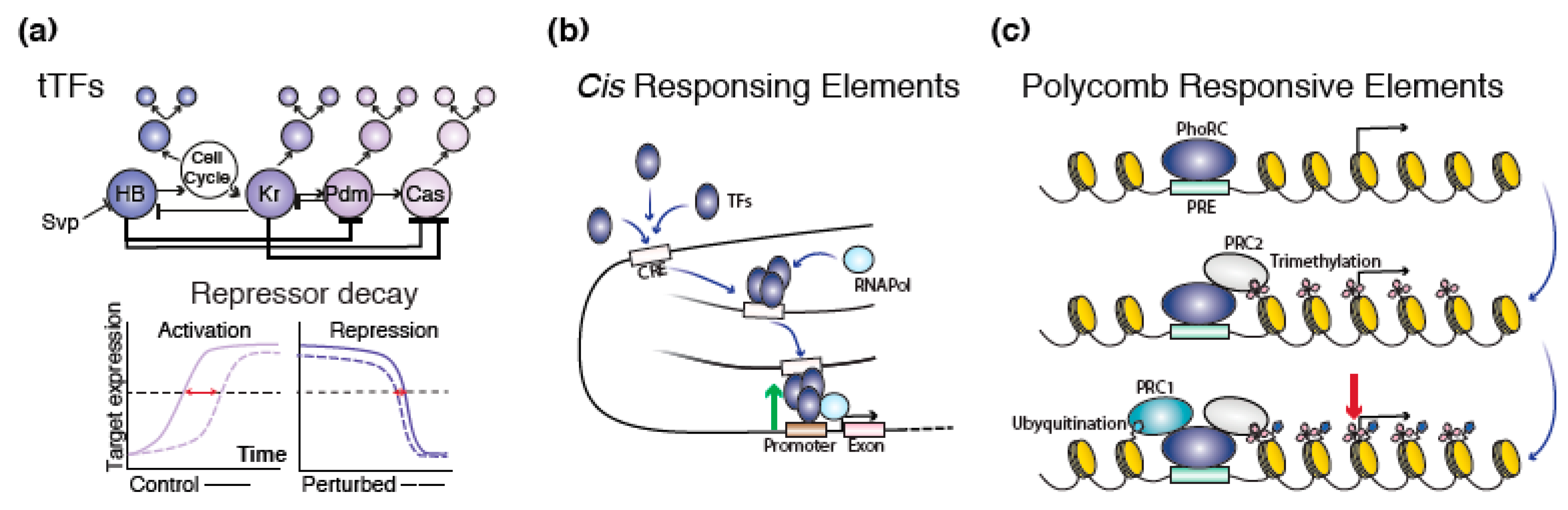 Ijms 21 07491 g002 Ijms 21 07491 g002