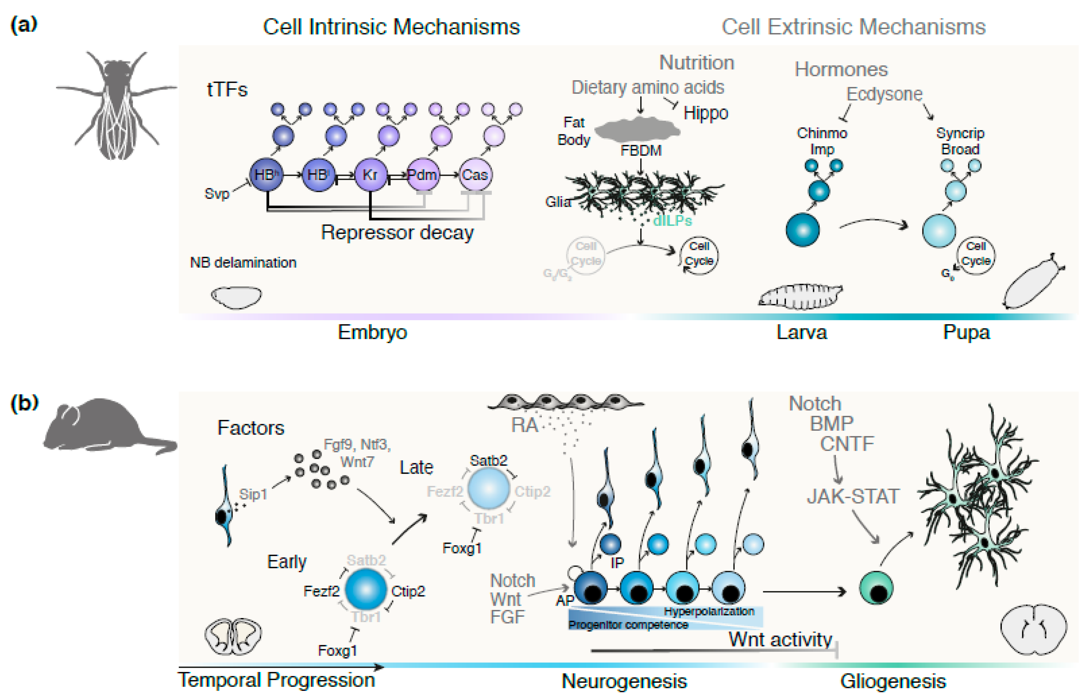 Ijms 21 07491 g003 Ijms 21 07491 g003