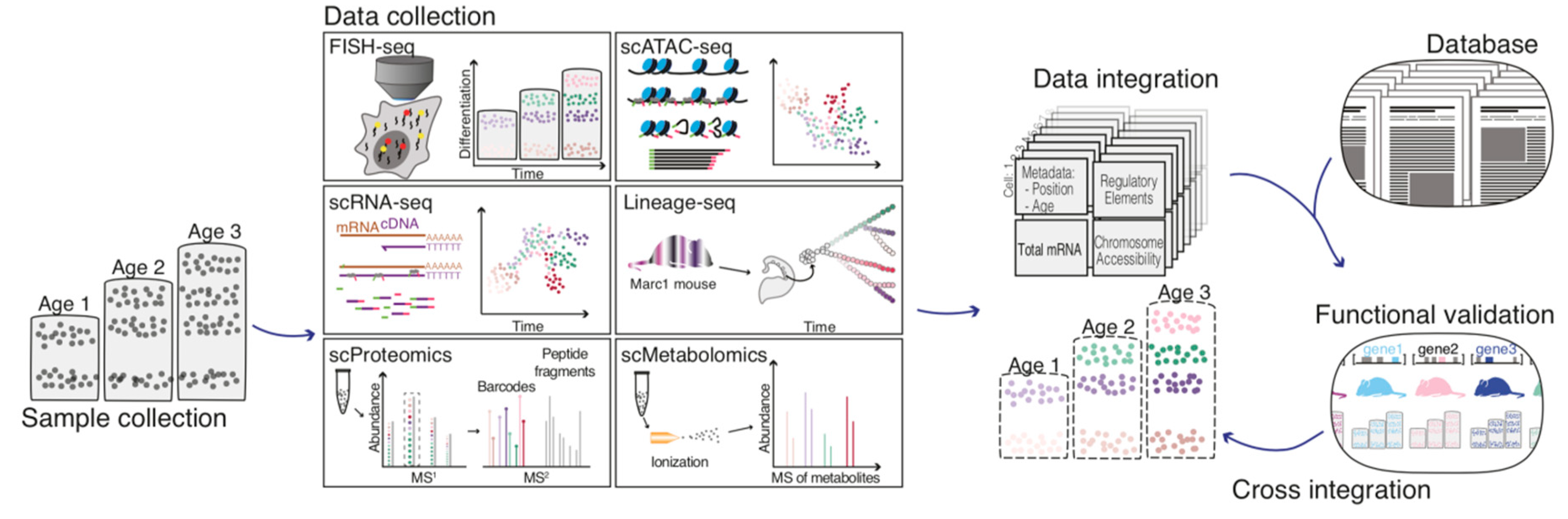 Ijms 21 07491 g004 Ijms 21 07491 g004
