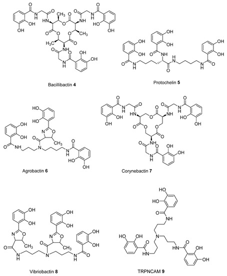 Ijms 21 07498 g003a 550