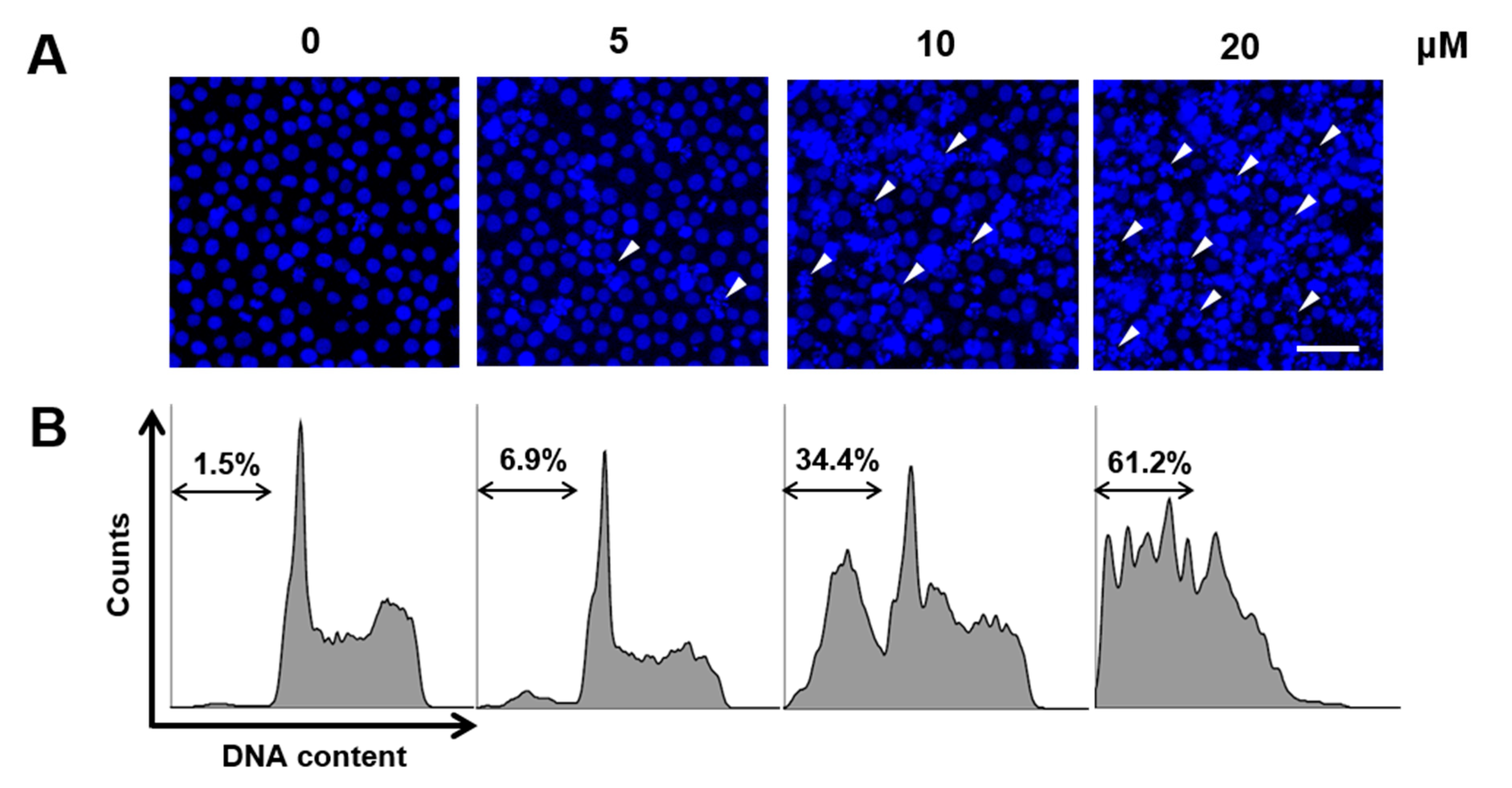Ijms 21 07506 g003 Ijms 21 07506 g003