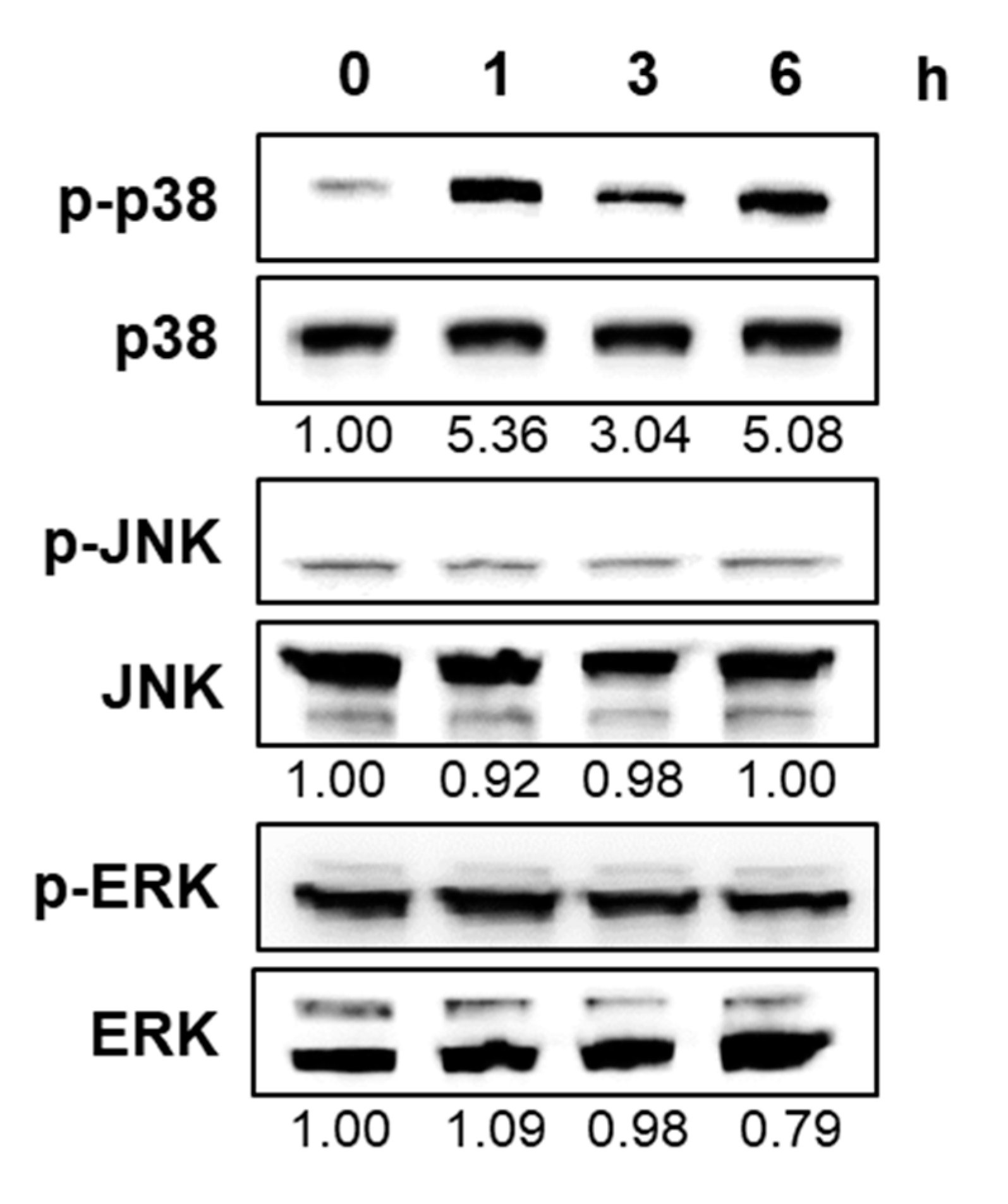 Ijms 21 07506 g004 Ijms 21 07506 g004