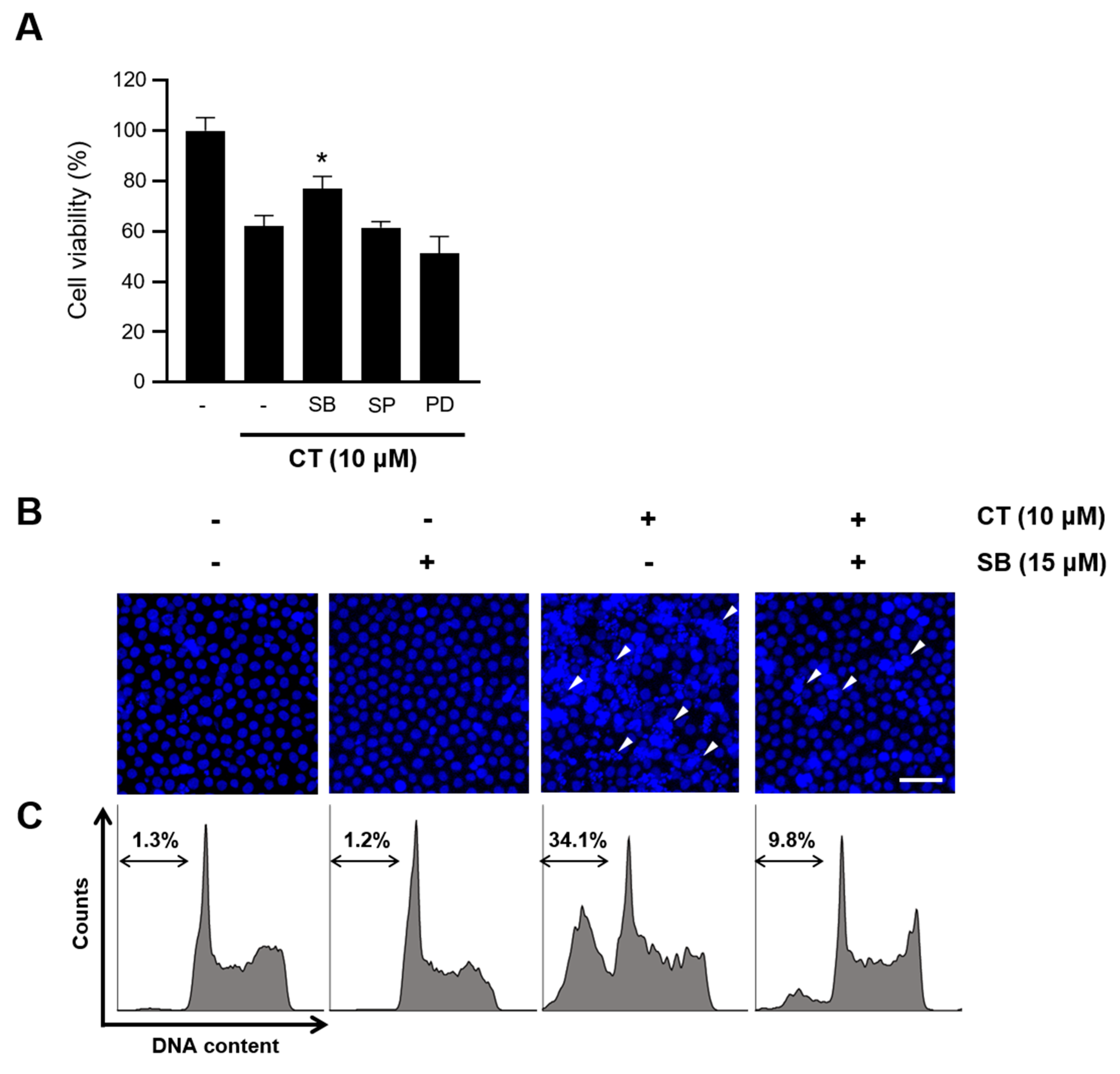 Ijms 21 07506 g005 Ijms 21 07506 g005