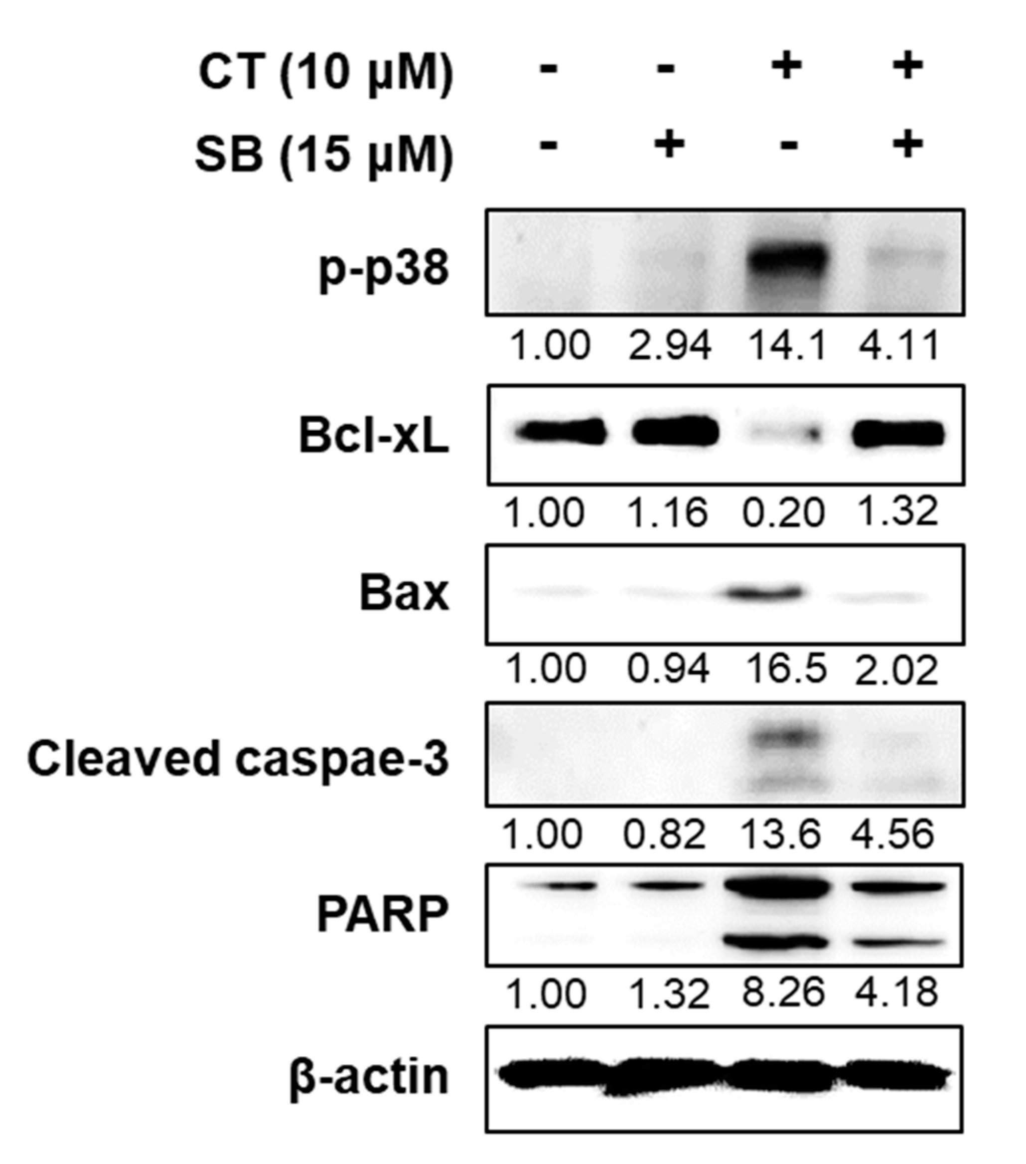 Ijms 21 07506 g006 Ijms 21 07506 g006