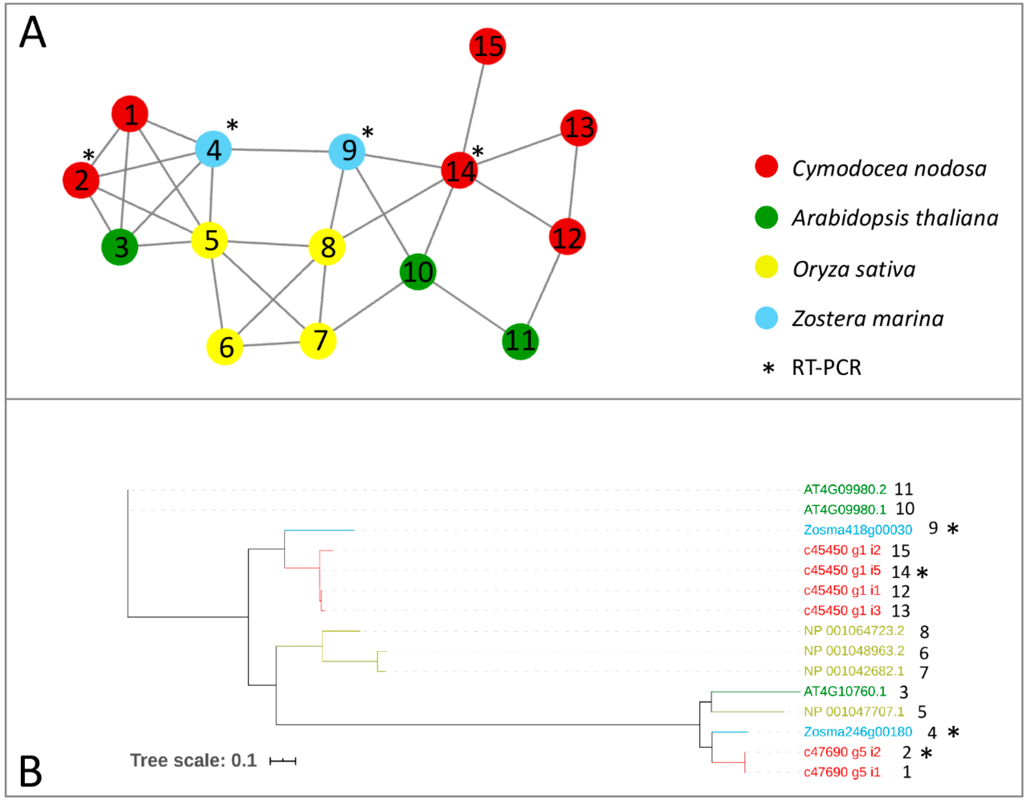 Ijms 21 07508 g001 Ijms 21 07508 g001