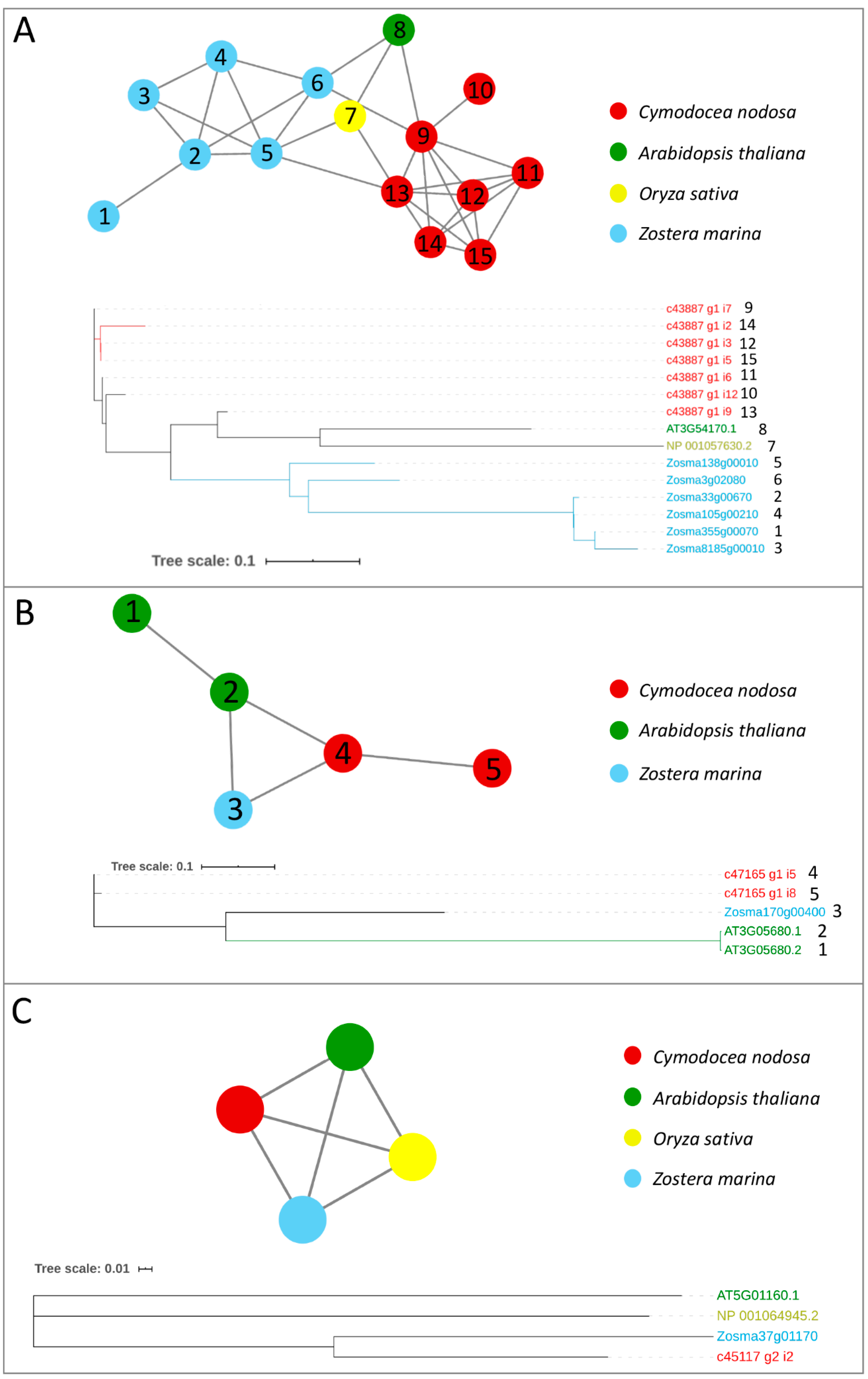 Ijms 21 07508 g002 Ijms 21 07508 g002