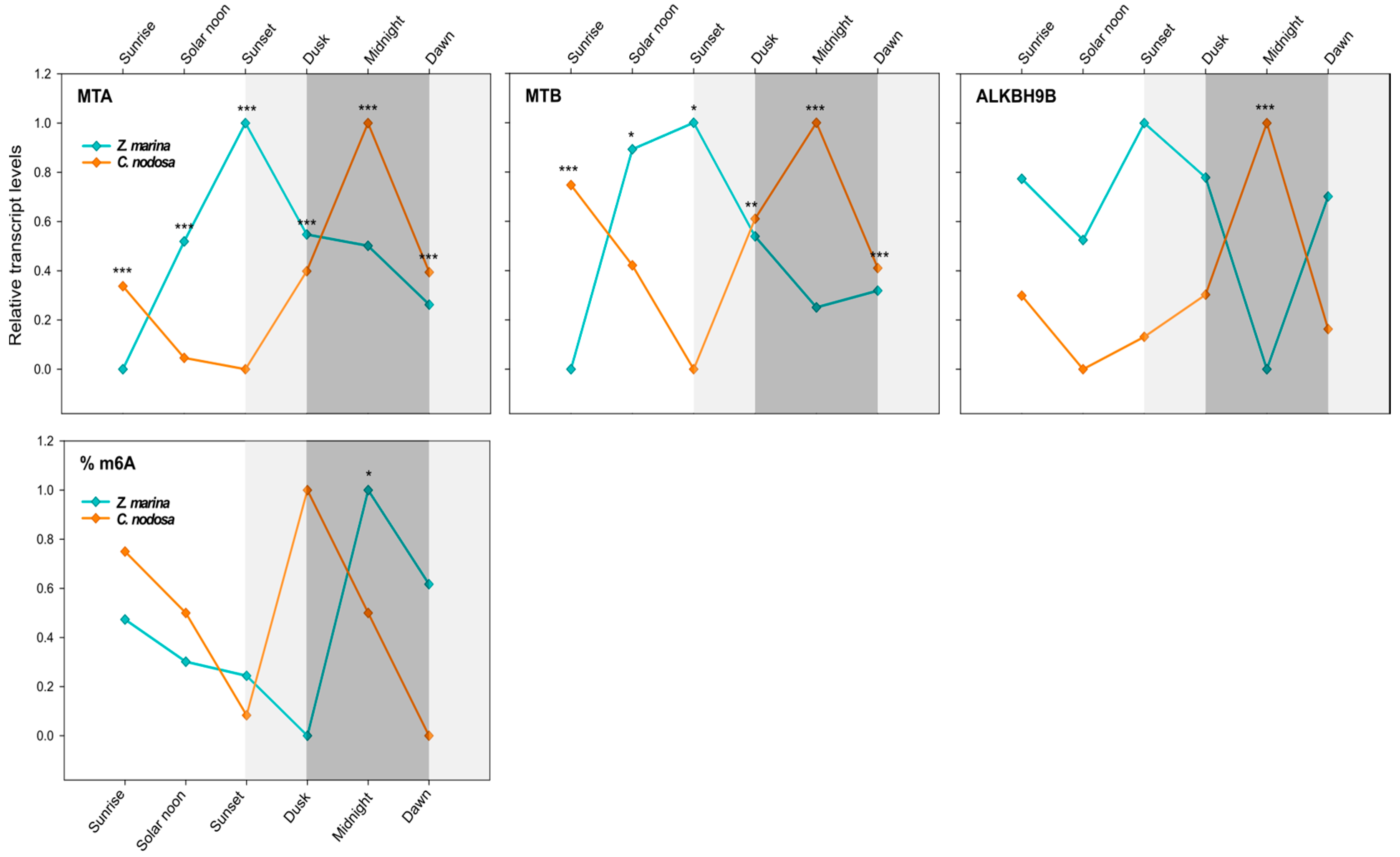 Ijms 21 07508 g004 Ijms 21 07508 g004