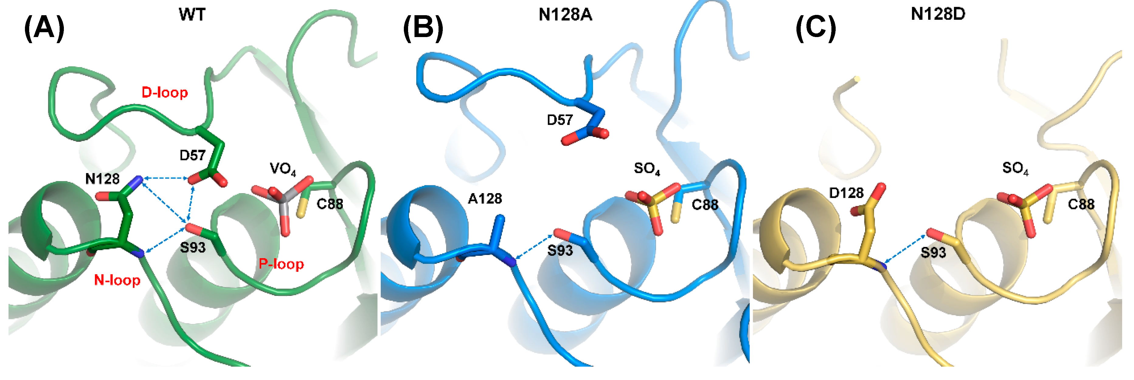 Ijms 21 07515 g005 Ijms 21 07515 g005