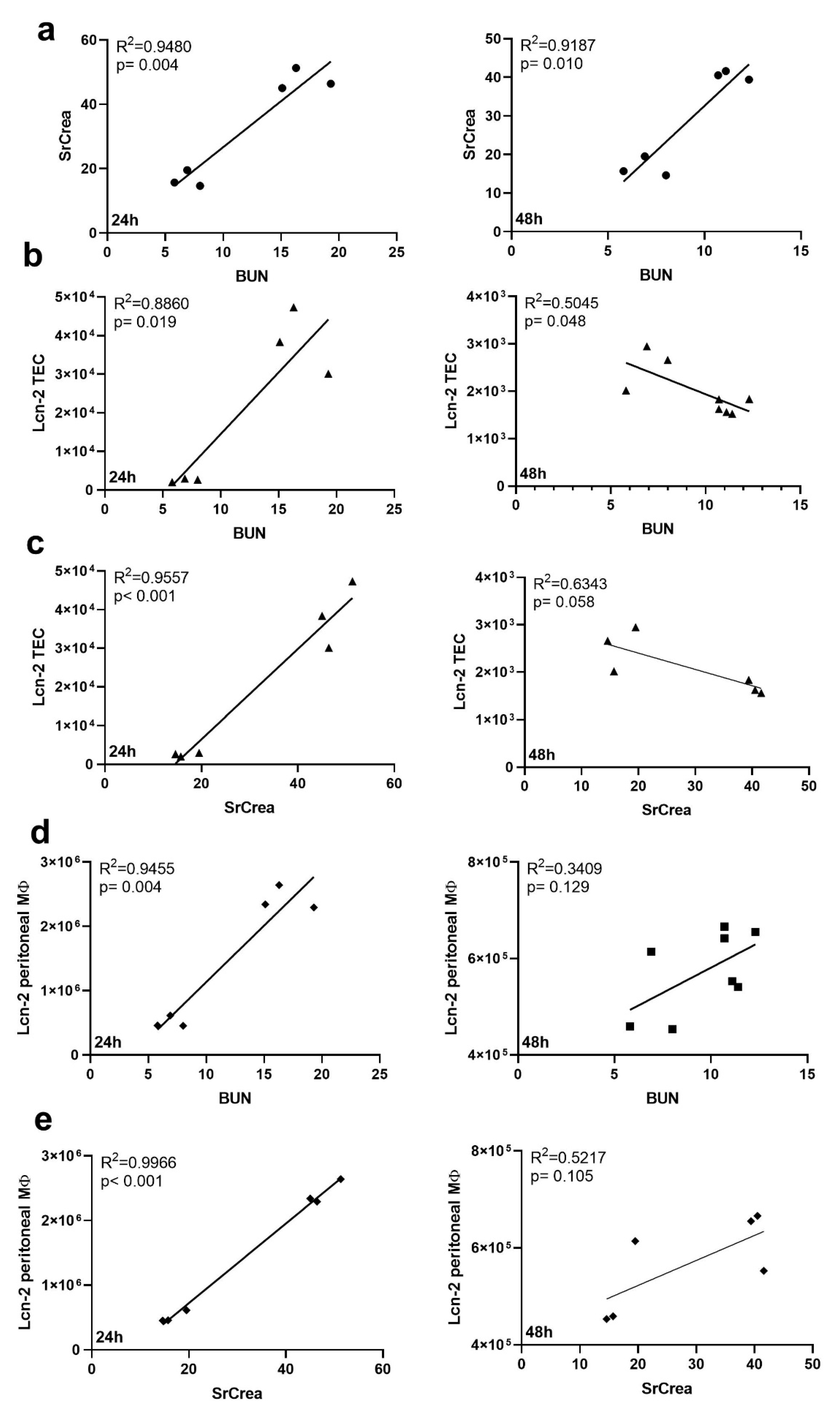 Ijms 21 07527 g003 Ijms 21 07527 g003