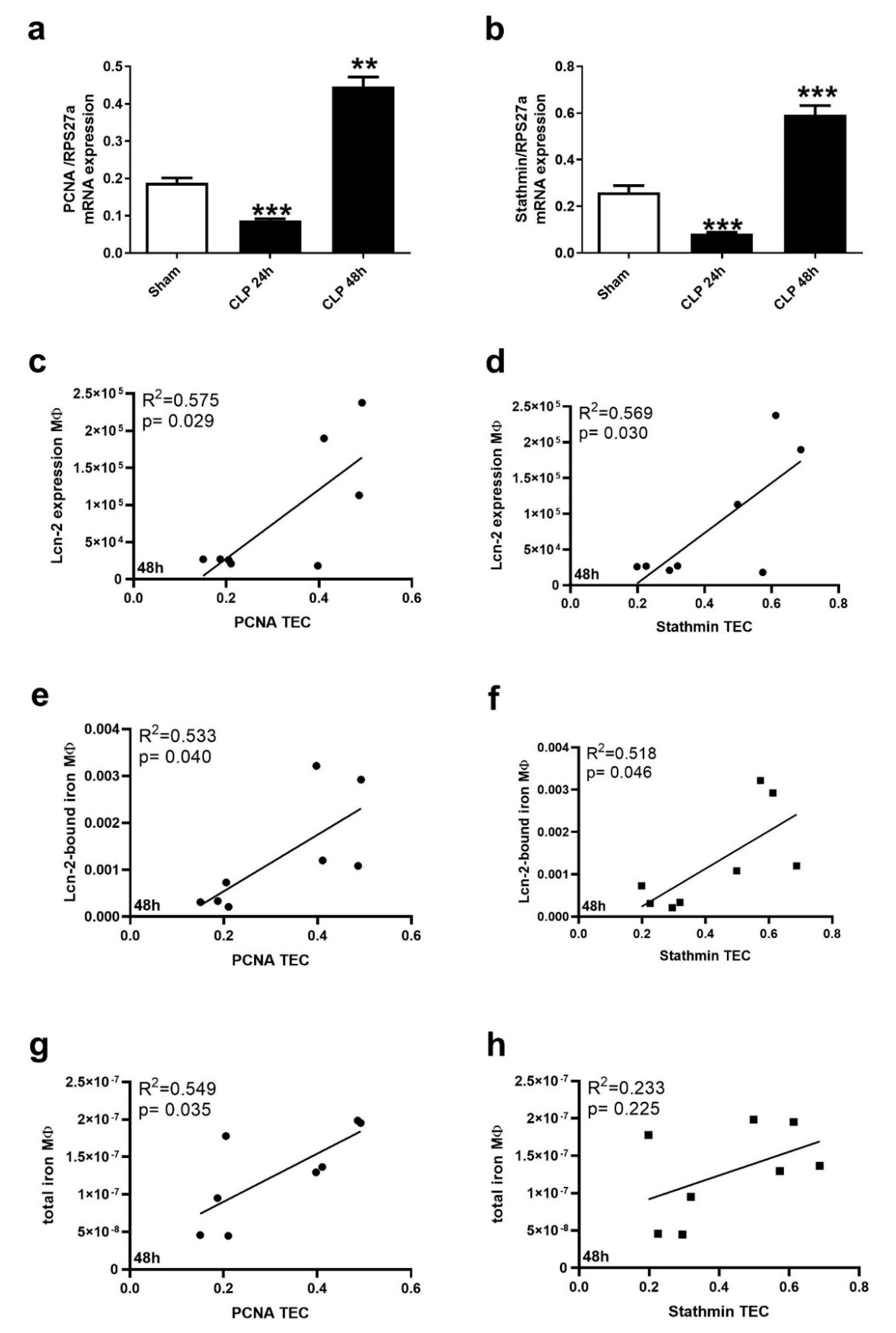 Ijms 21 07527 g005 Ijms 21 07527 g005