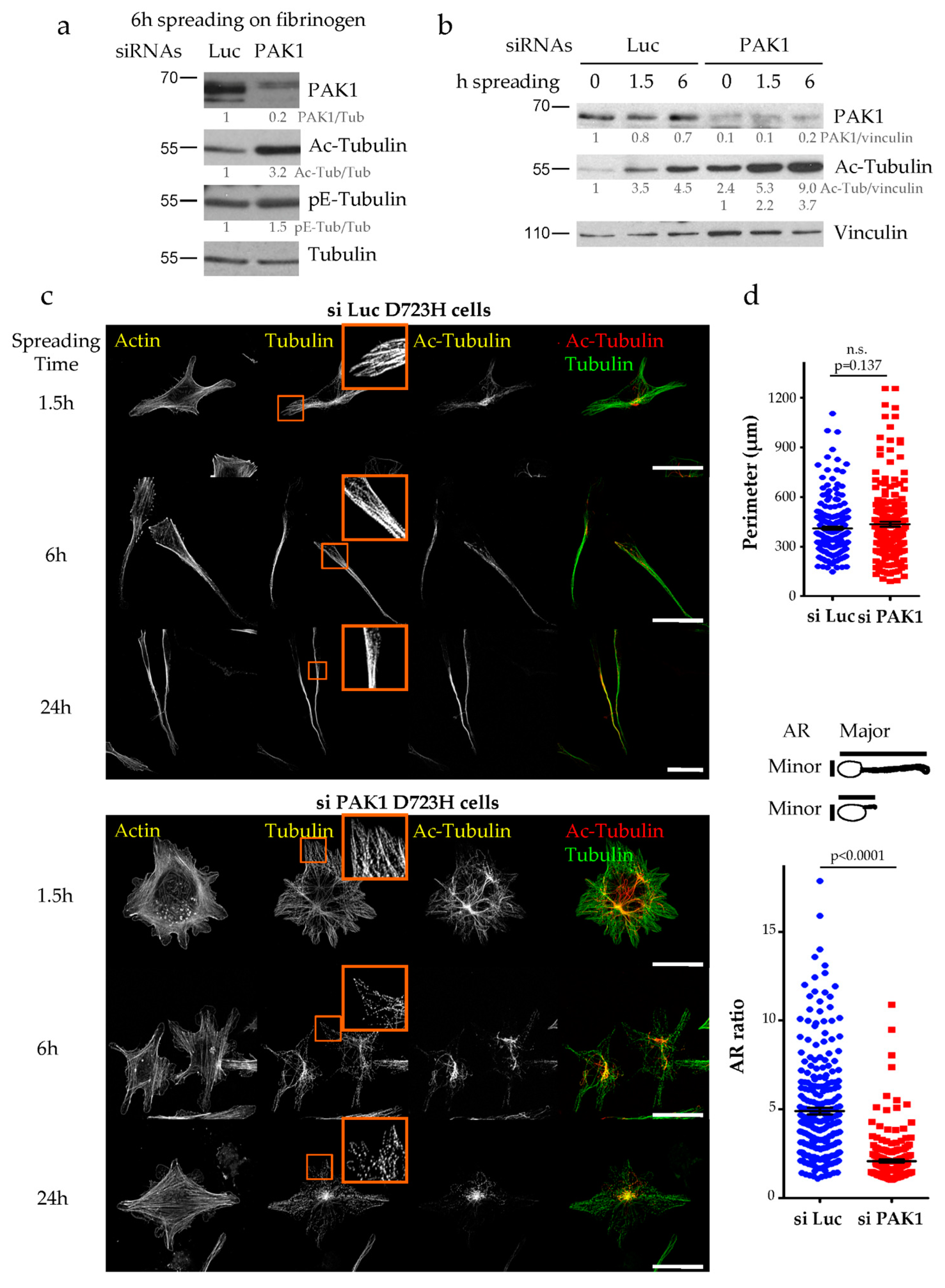 Ijms 21 07531 g003 Ijms 21 07531 g003