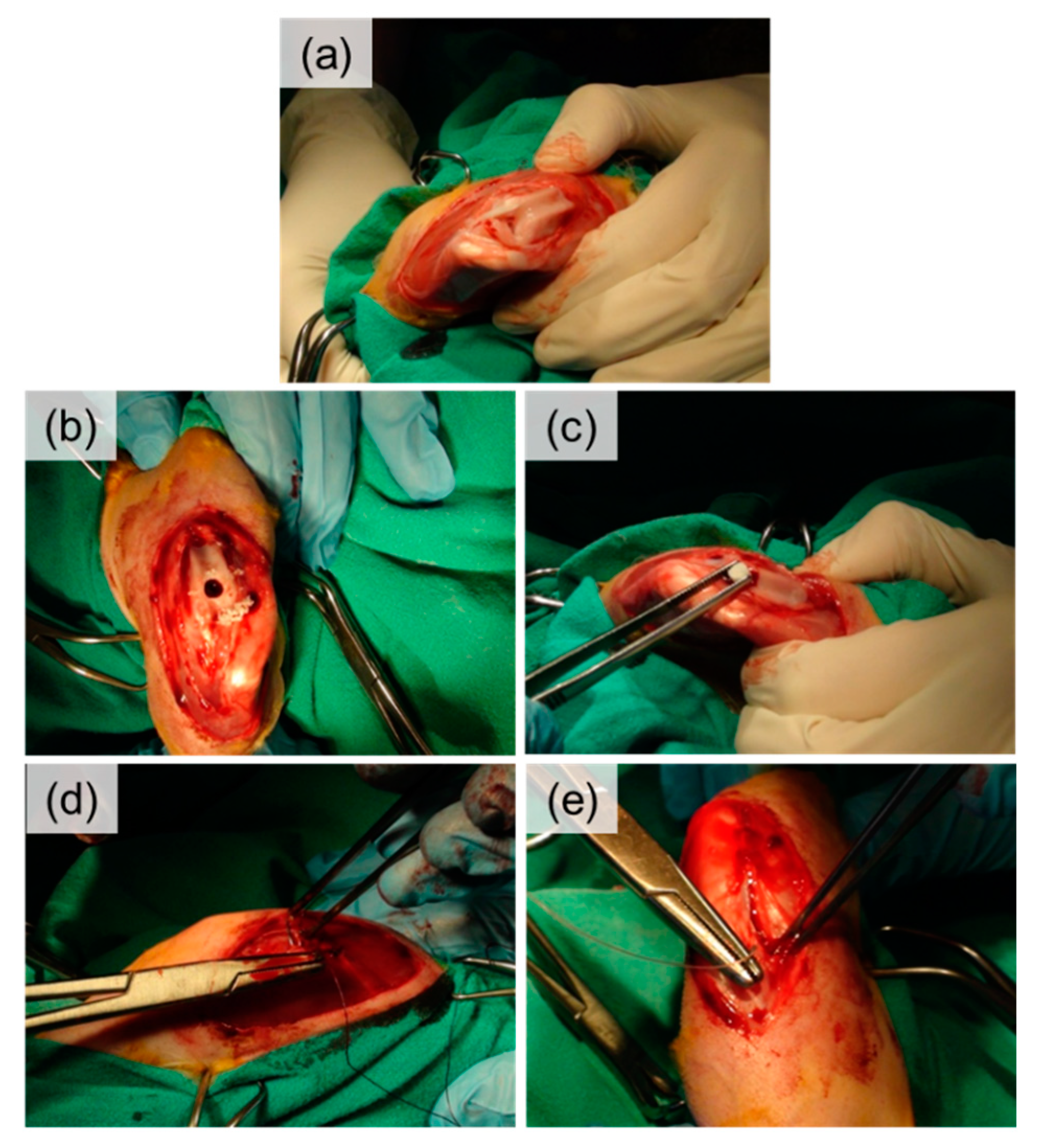 Ijms 21 07541 g008 Ijms 21 07541 g008