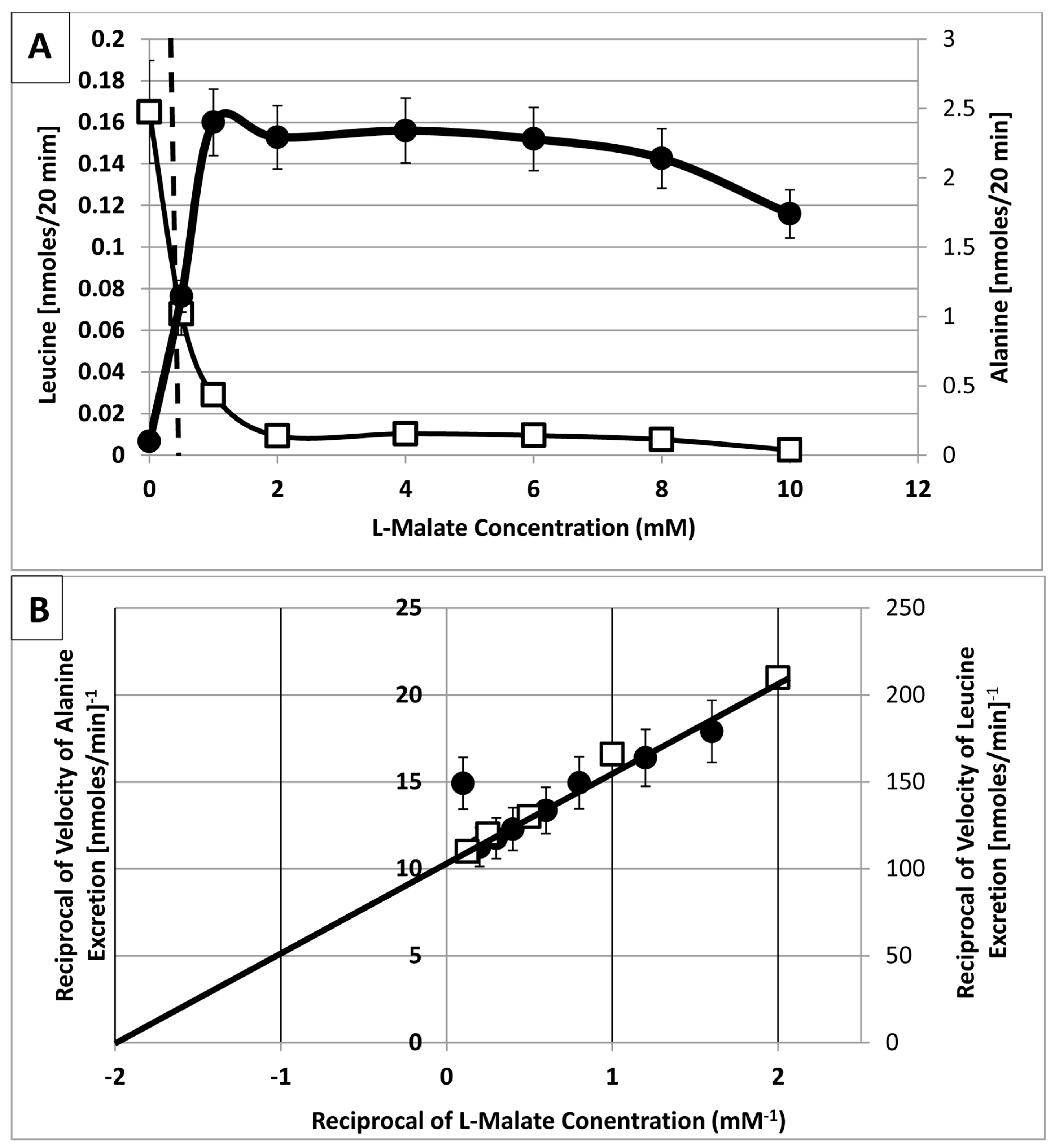 Ijms 21 07542 g007 Ijms 21 07542 g007