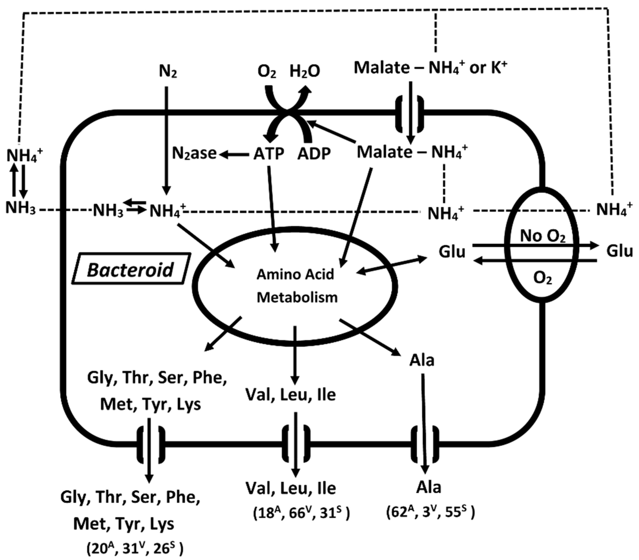 Ijms 21 07542 g010 Ijms 21 07542 g010