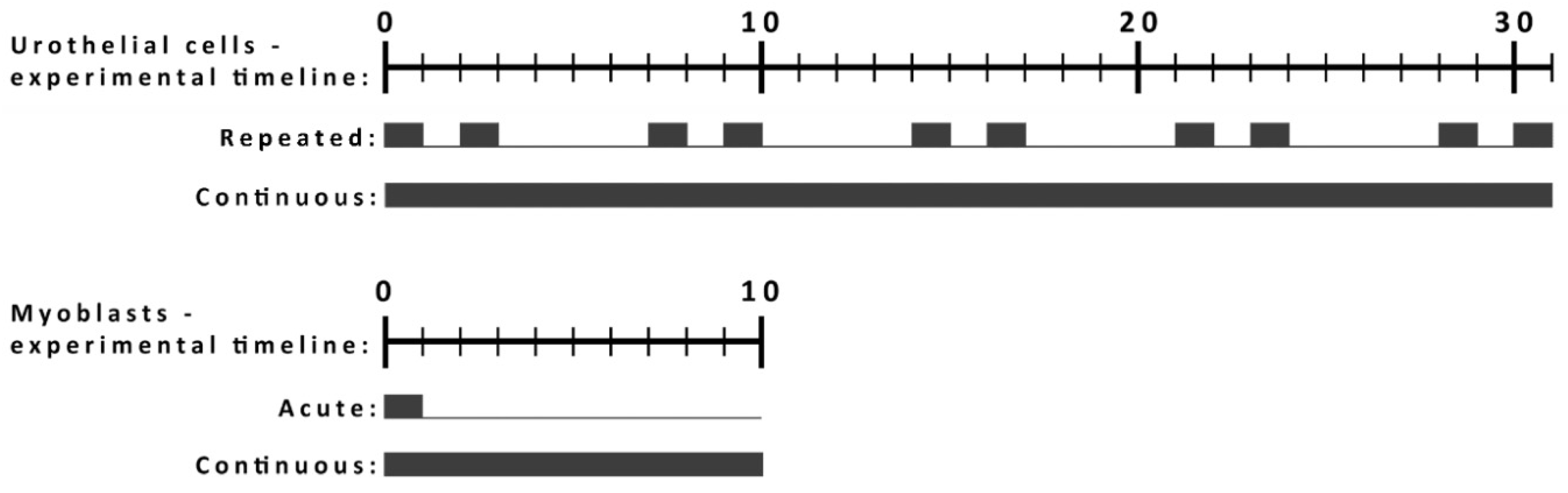 Ijms 21 07545 g001 Ijms 21 07545 g001