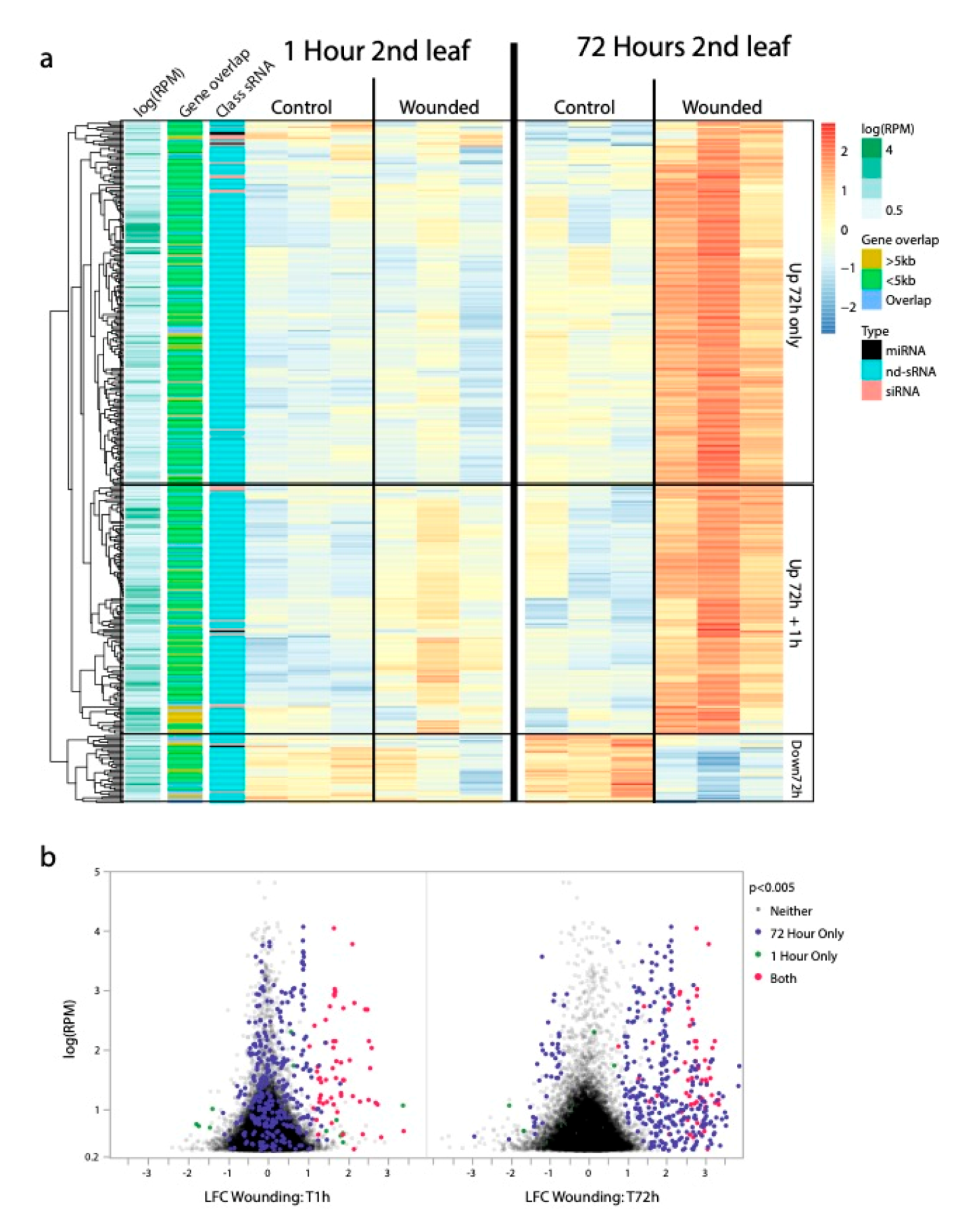 Ijms 21 07552 g002 Ijms 21 07552 g002
