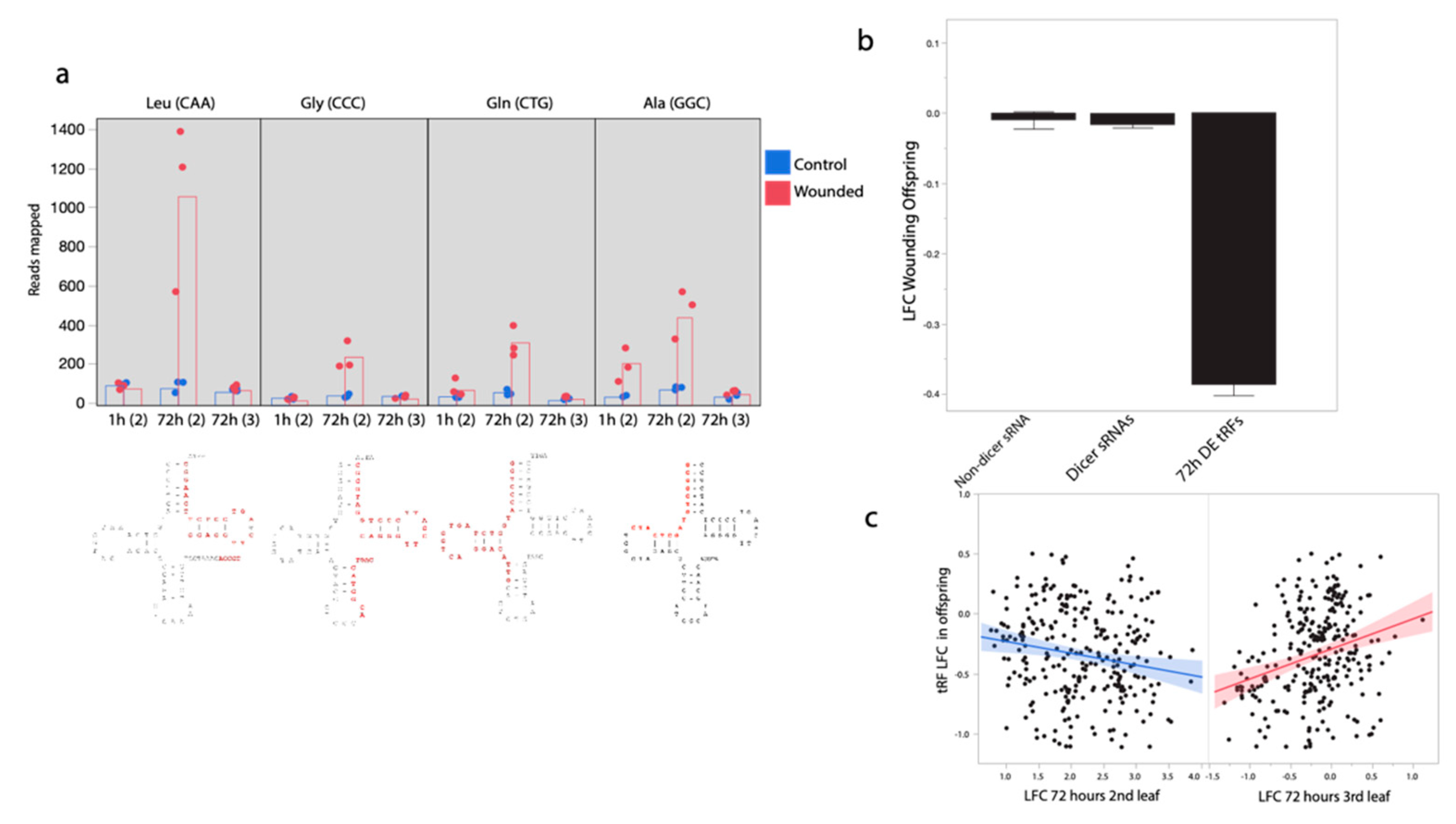 Ijms 21 07552 g003 Ijms 21 07552 g003