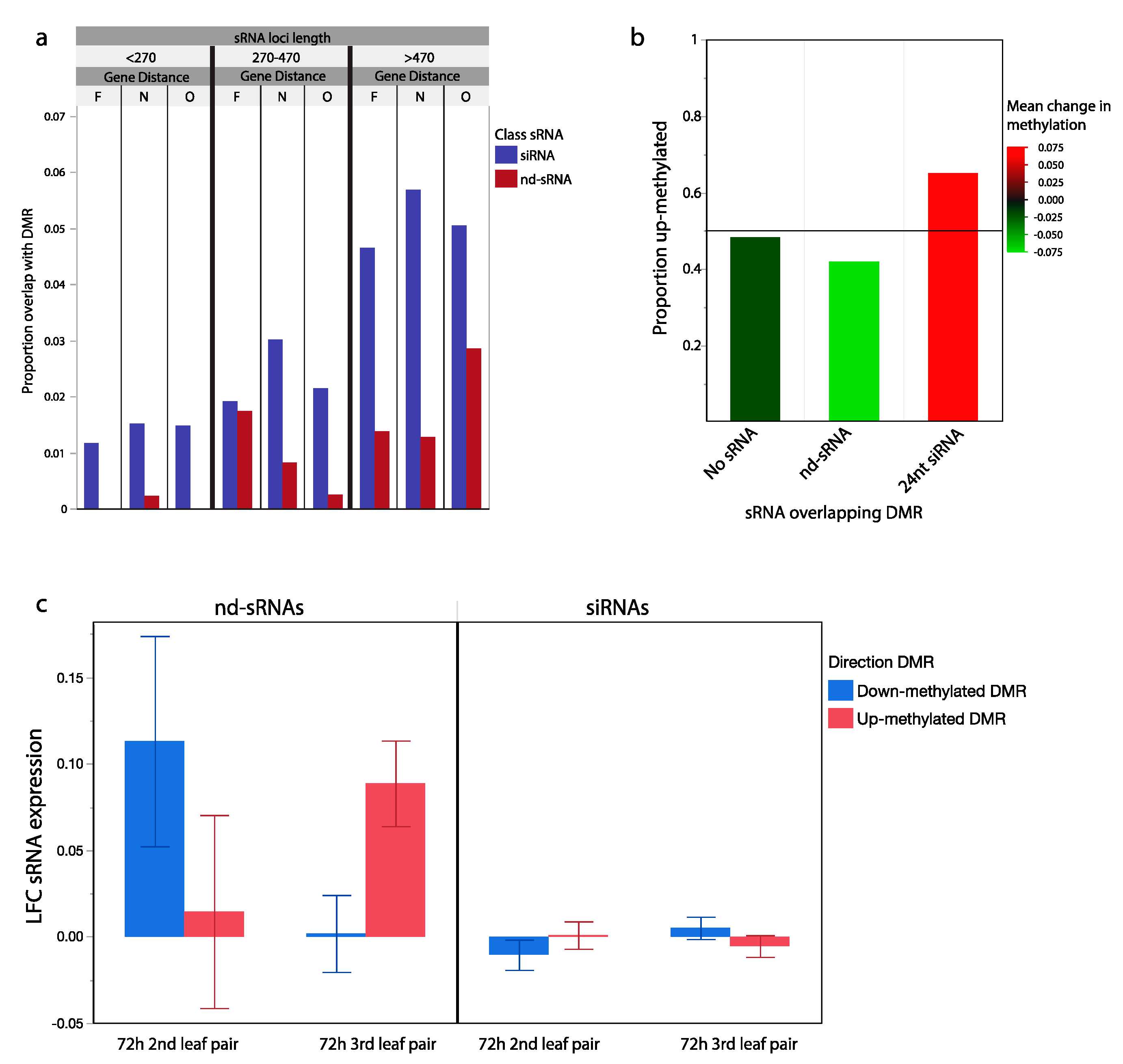 Ijms 21 07552 g004 Ijms 21 07552 g004