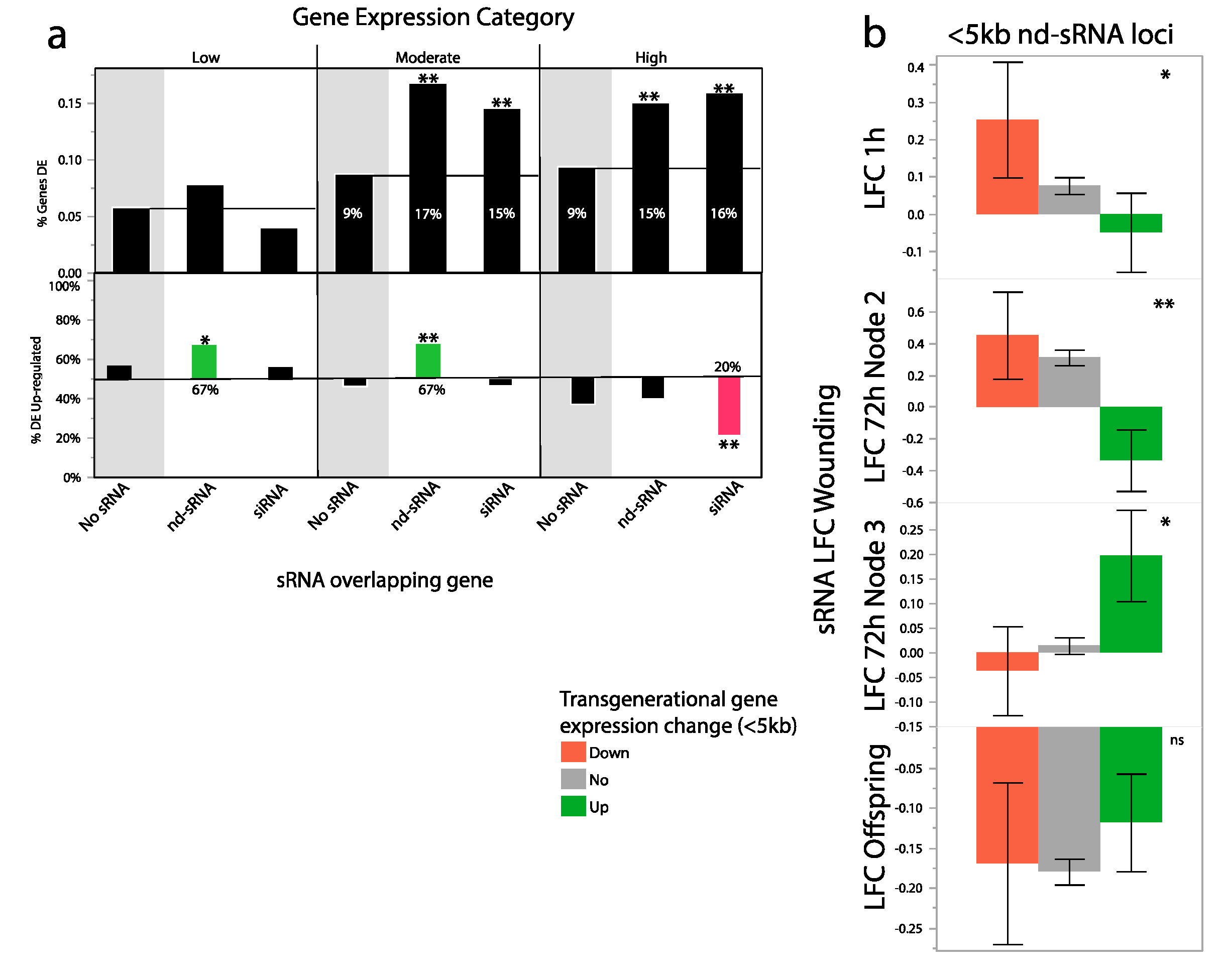 Ijms 21 07552 g005 Ijms 21 07552 g005