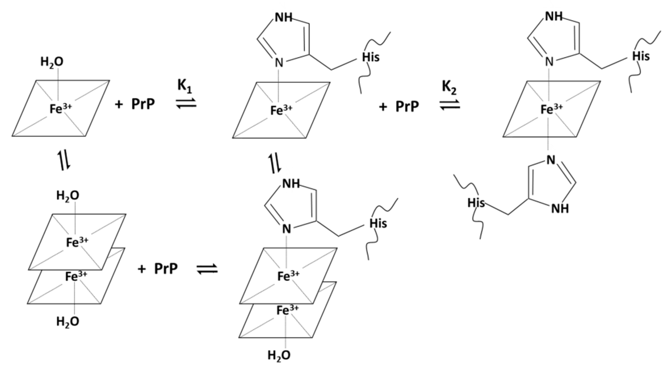 Ijms 21 07553 g001 Ijms 21 07553 g001