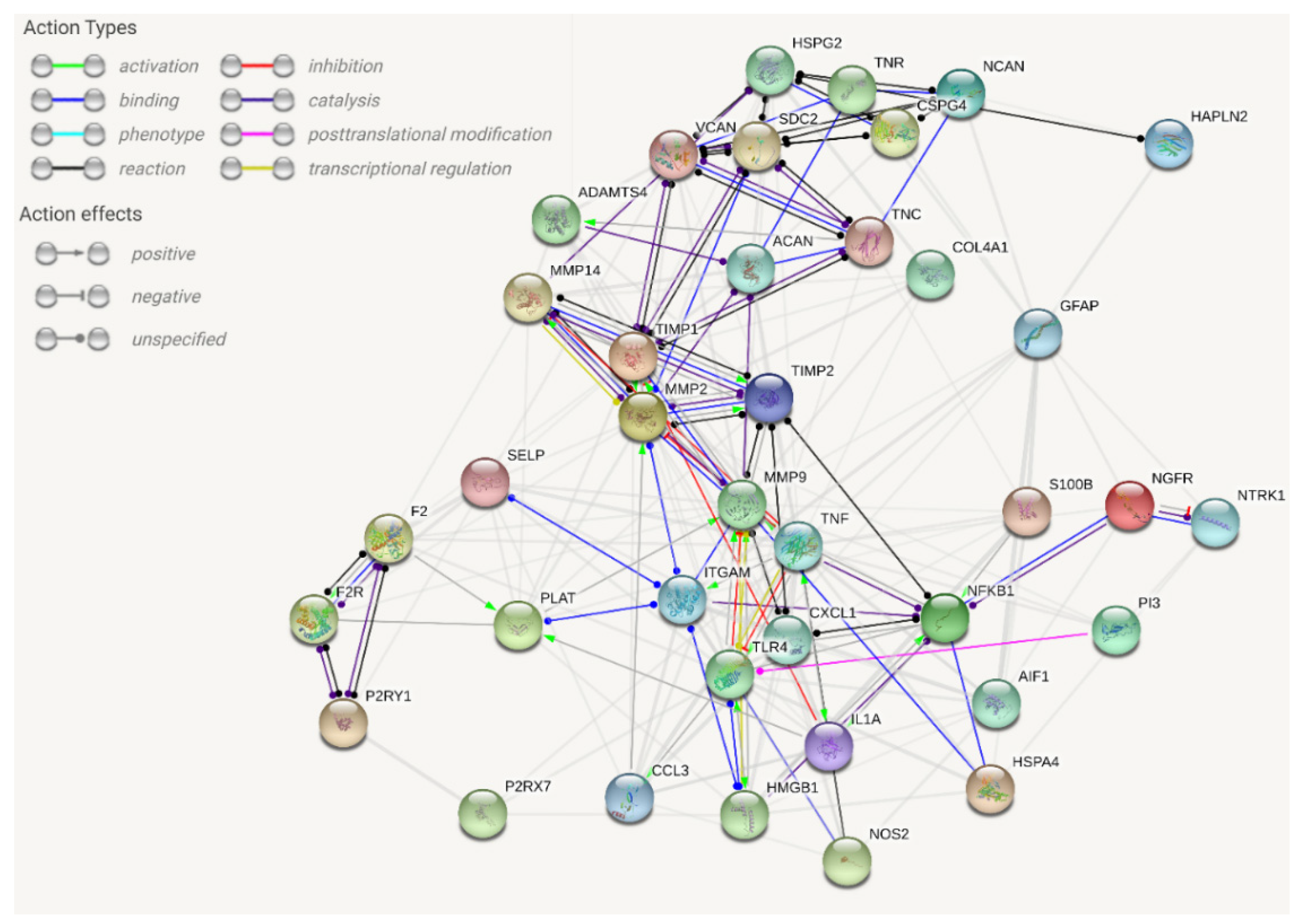 Ijms 21 07554 g001 Ijms 21 07554 g001