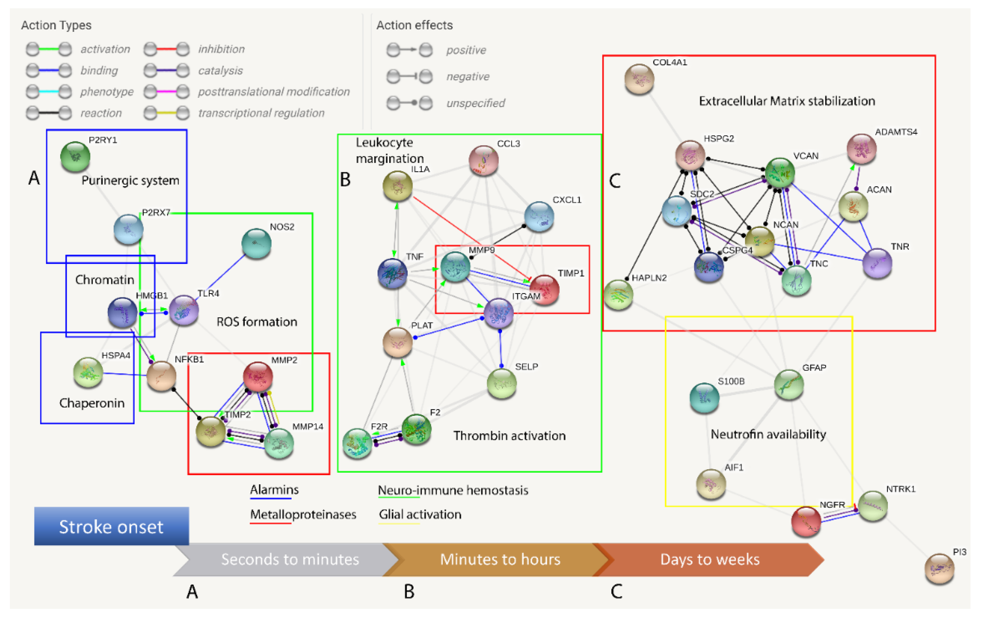 Ijms 21 07554 g003 Ijms 21 07554 g003