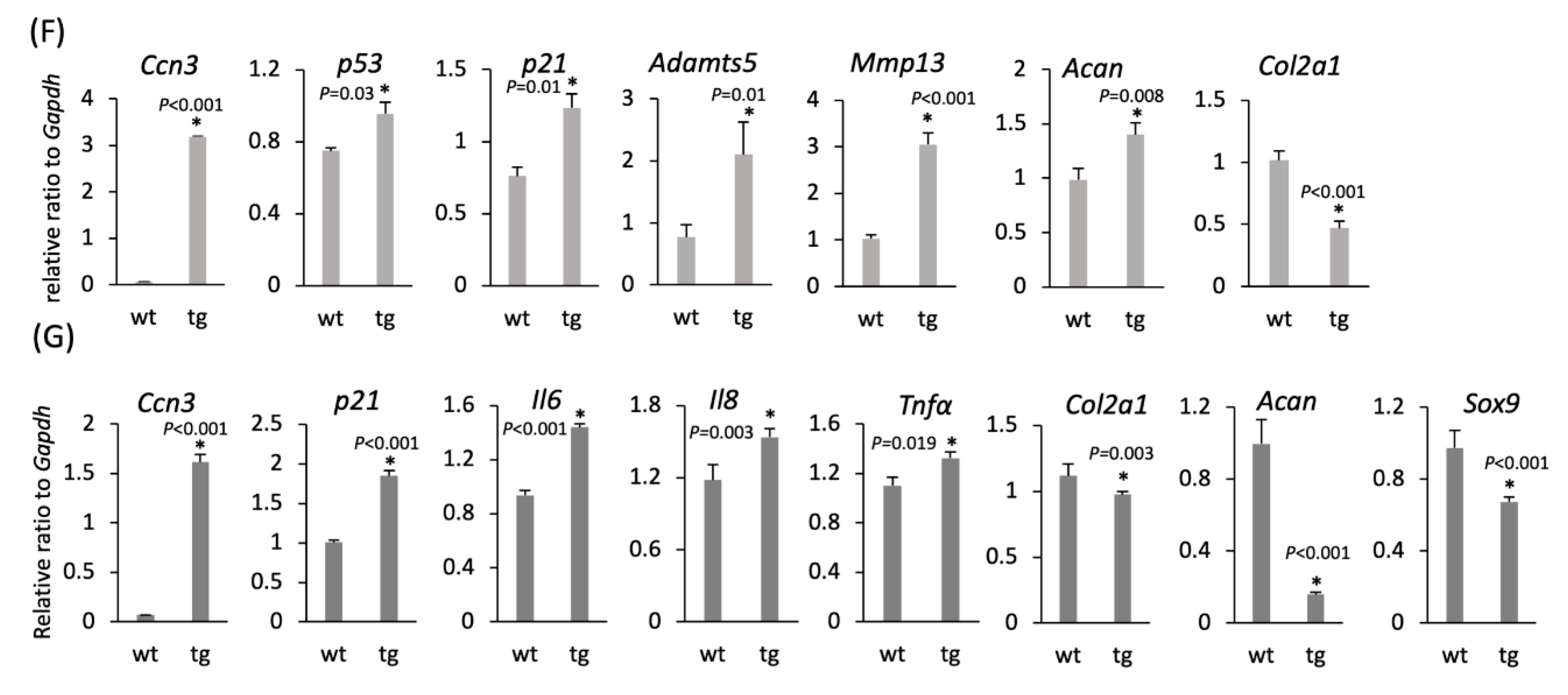 Ijms 21 07556 g005b Ijms 21 07556 g005b