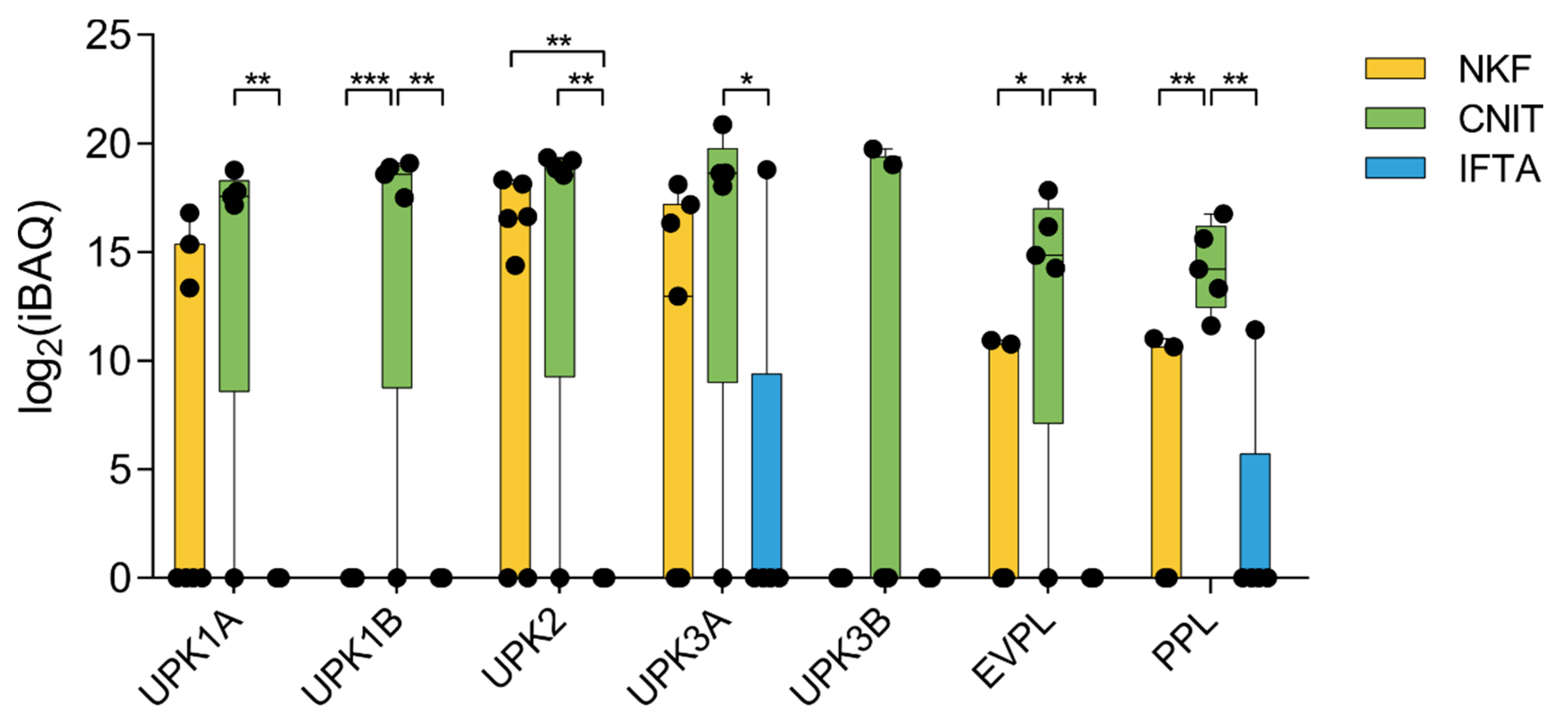 Ijms 21 07569 g005 Ijms 21 07569 g005