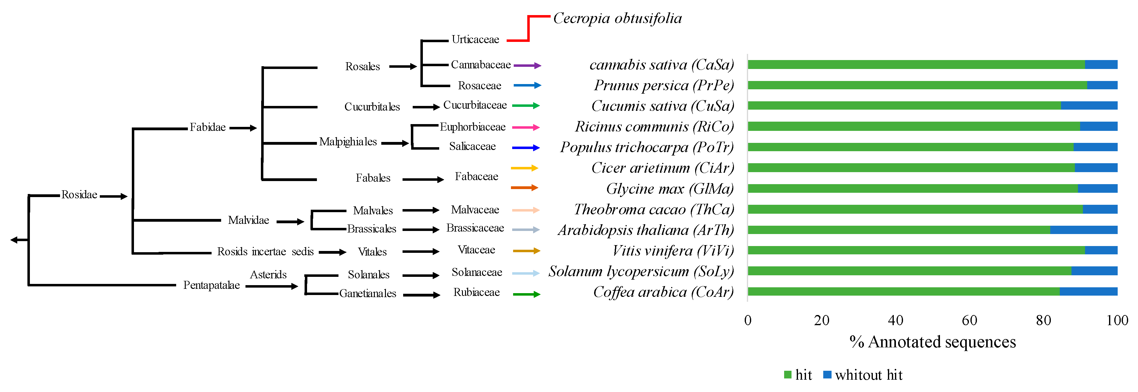 Ijms 21 07572 g004 Ijms 21 07572 g004