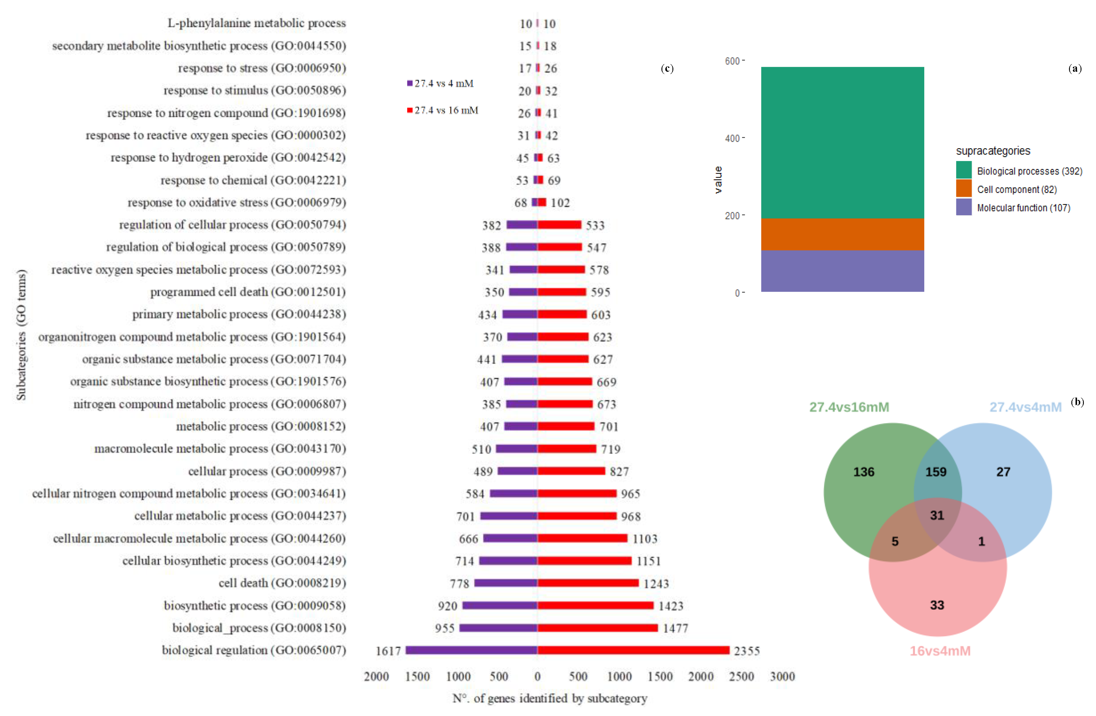 Ijms 21 07572 g006 Ijms 21 07572 g006