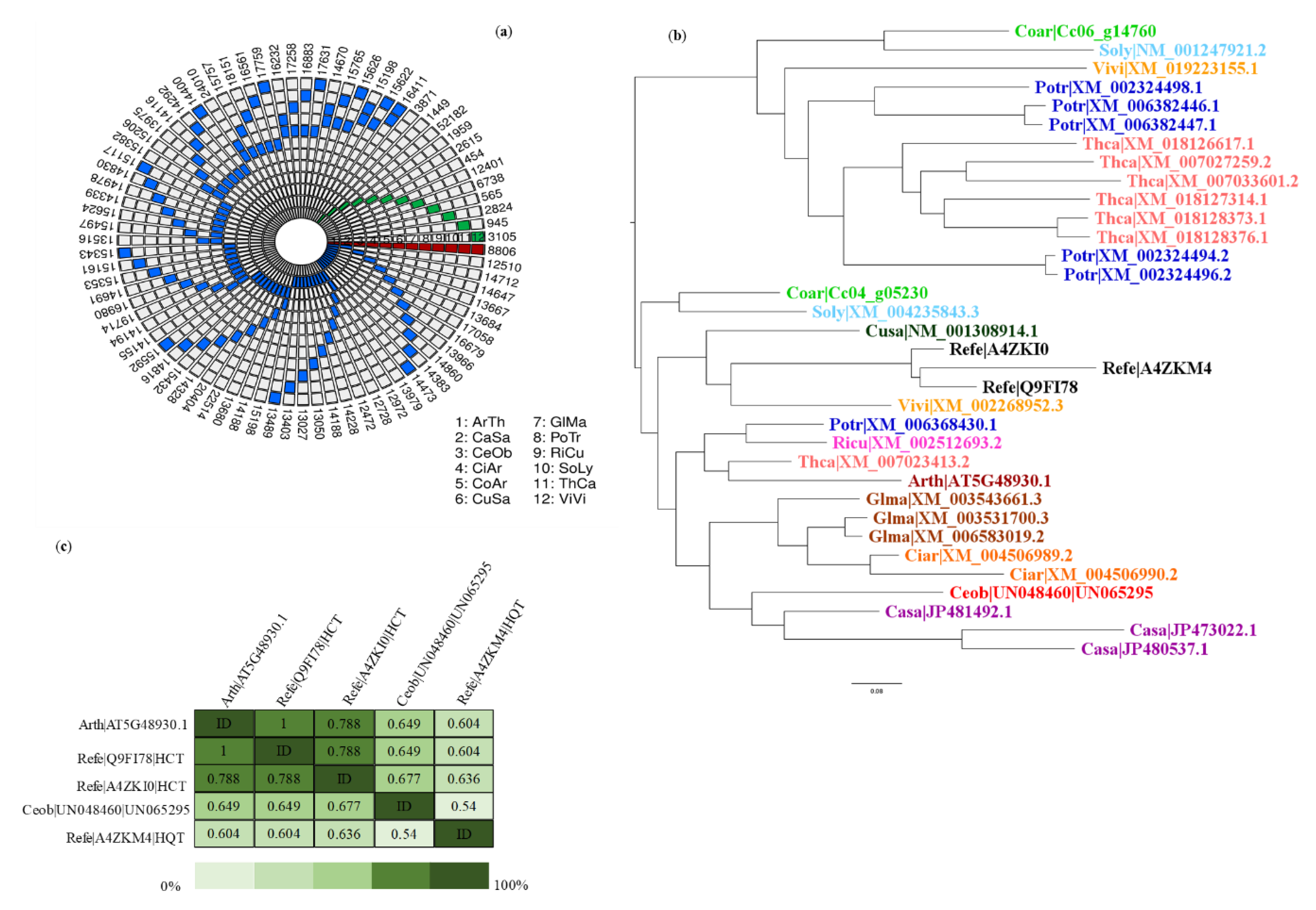 Ijms 21 07572 g007 Ijms 21 07572 g007