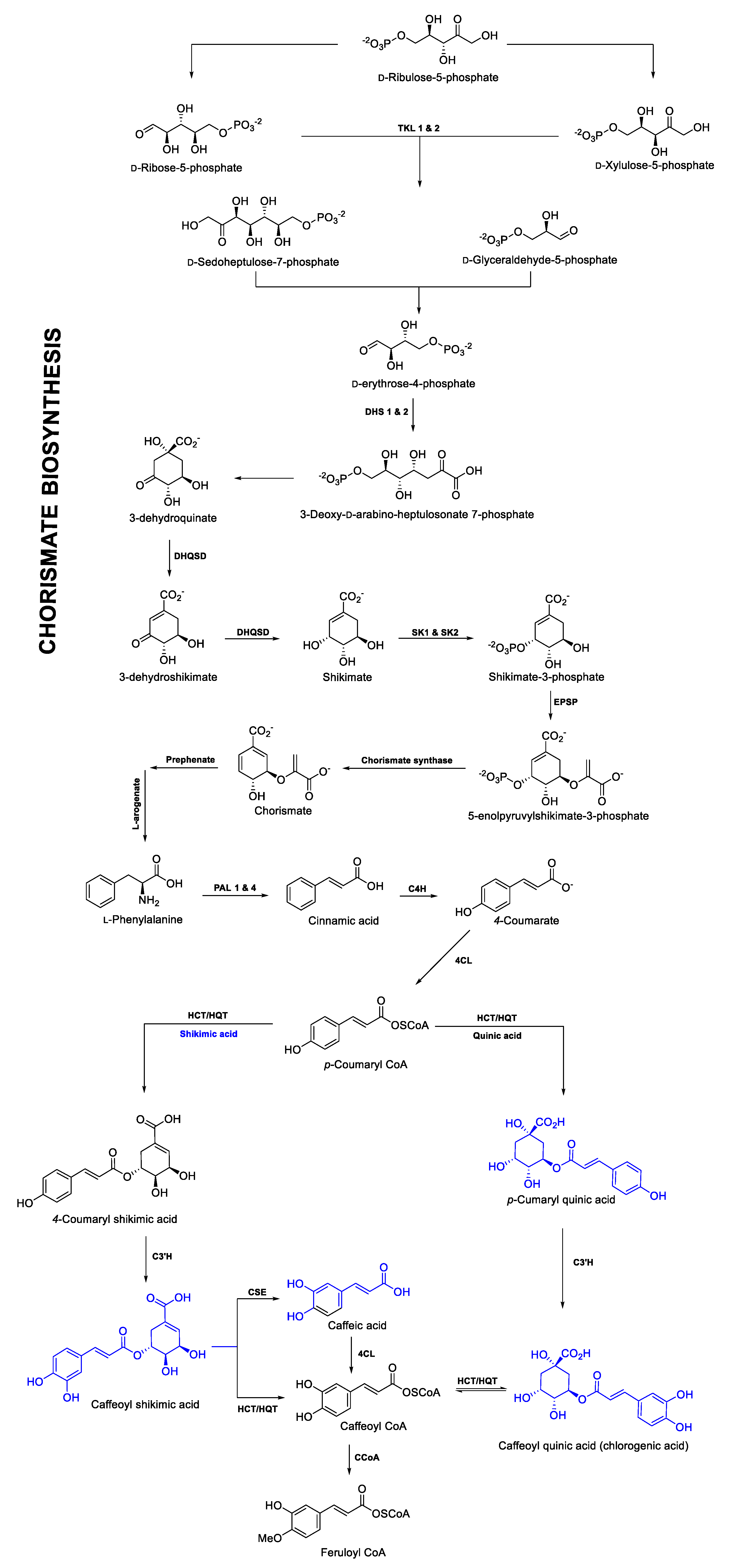Ijms 21 07572 g008 Ijms 21 07572 g008