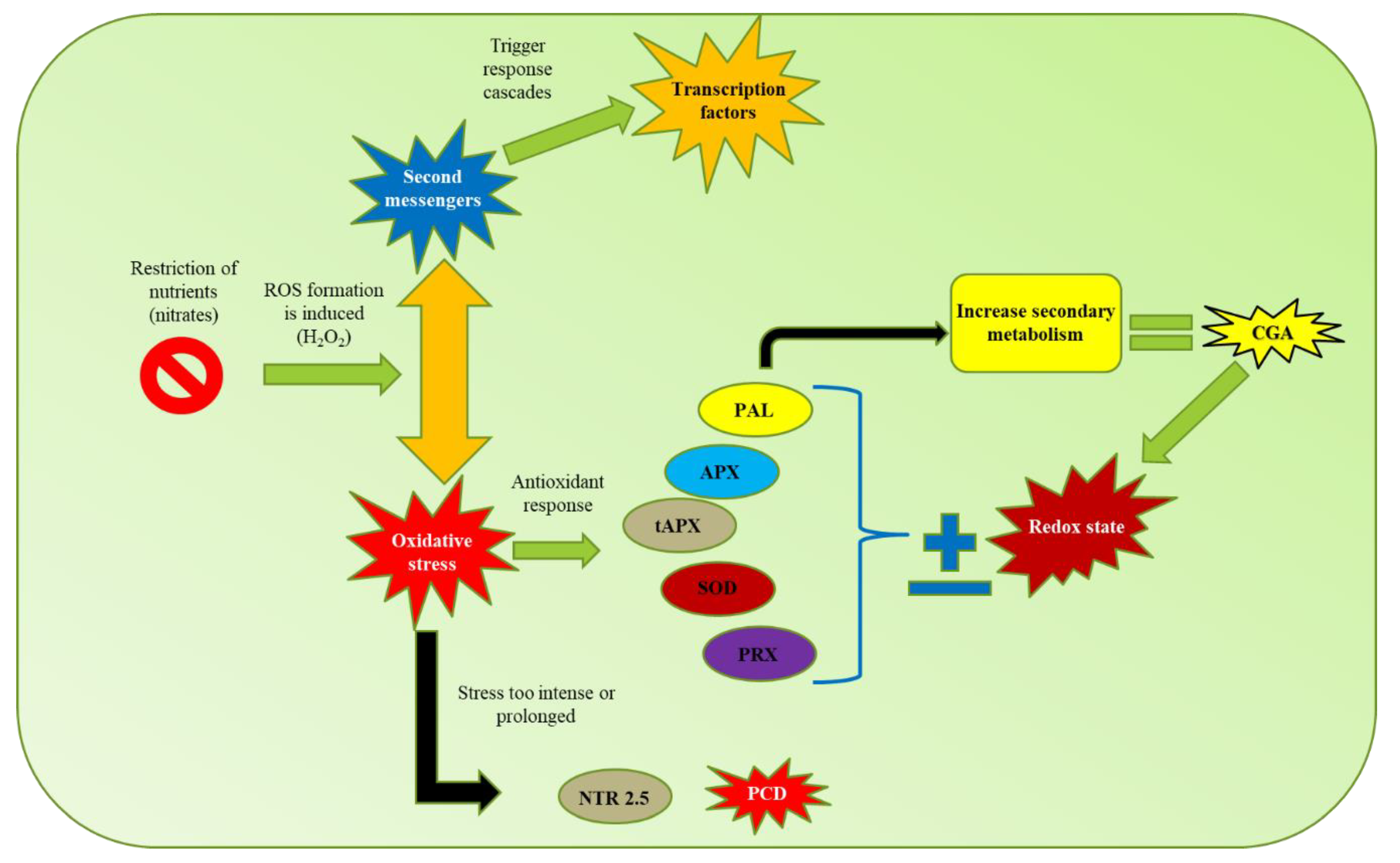 Ijms 21 07572 g009 Ijms 21 07572 g009