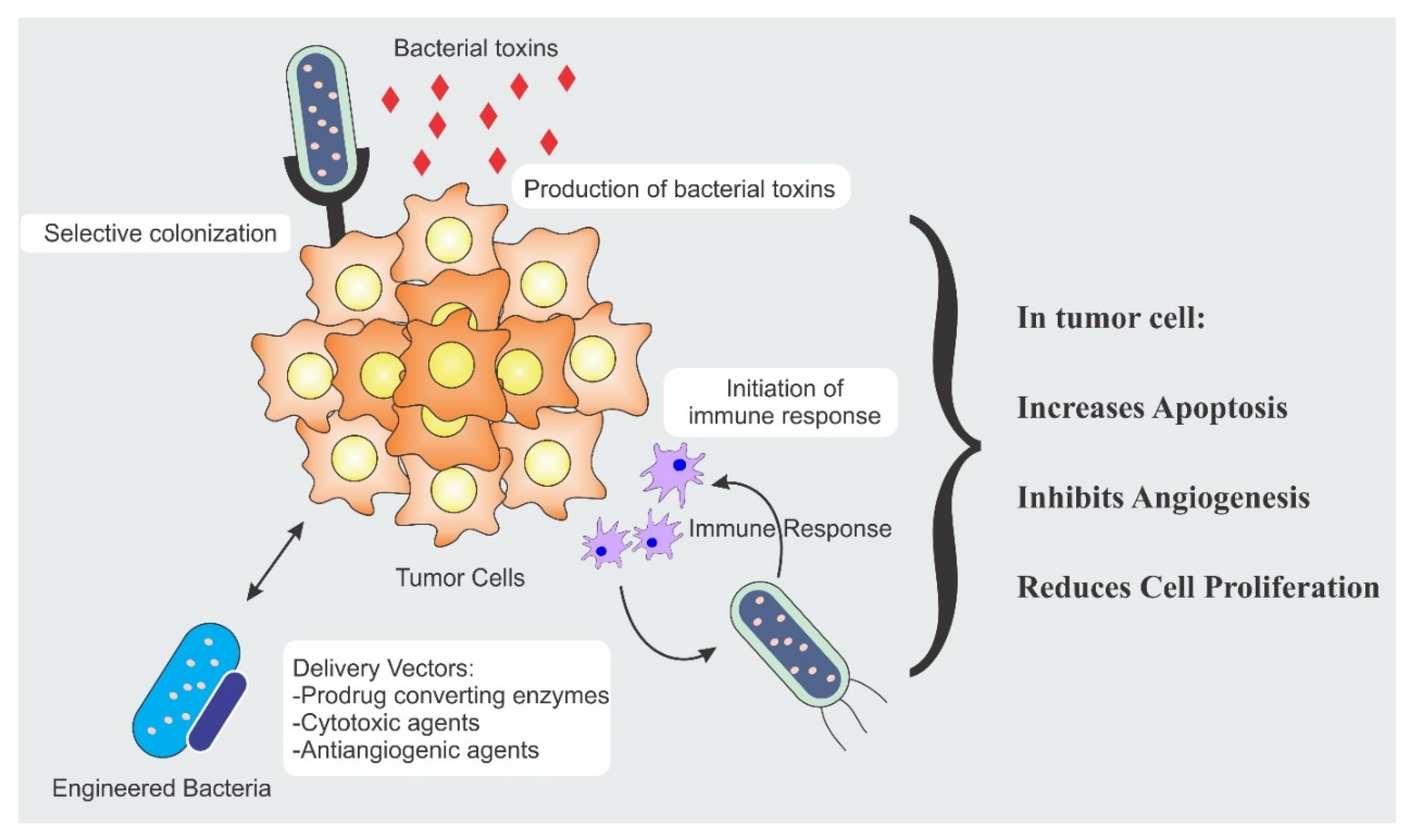 This Common Substance May Be Silently Causing Cancer - 6sr8lxp