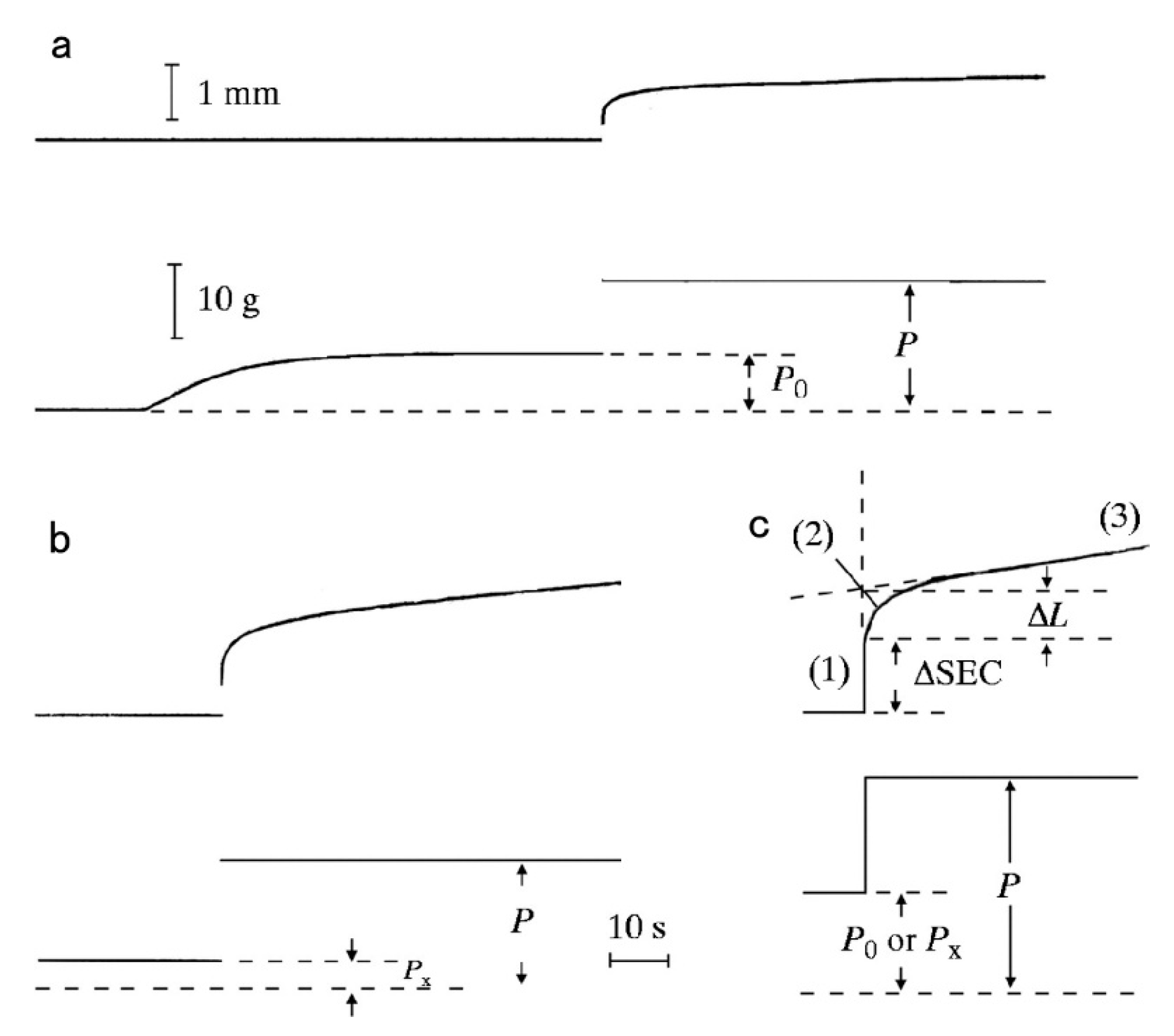 Ijms 21 07576 g003 Ijms 21 07576 g003