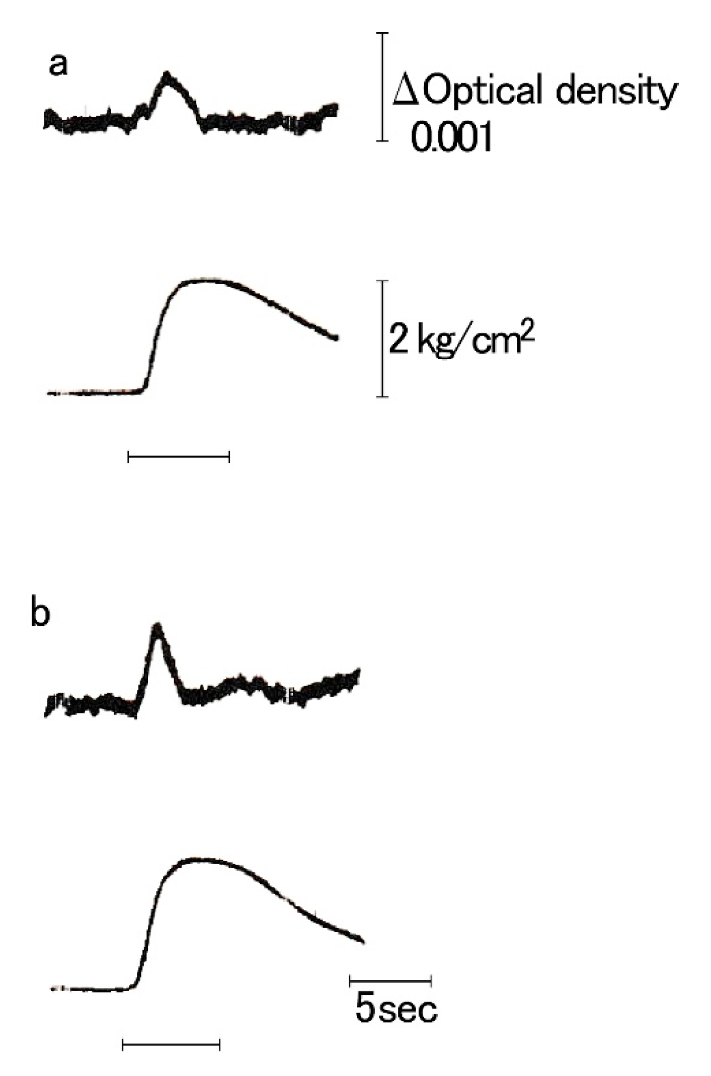 Ijms 21 07576 g005 Ijms 21 07576 g005