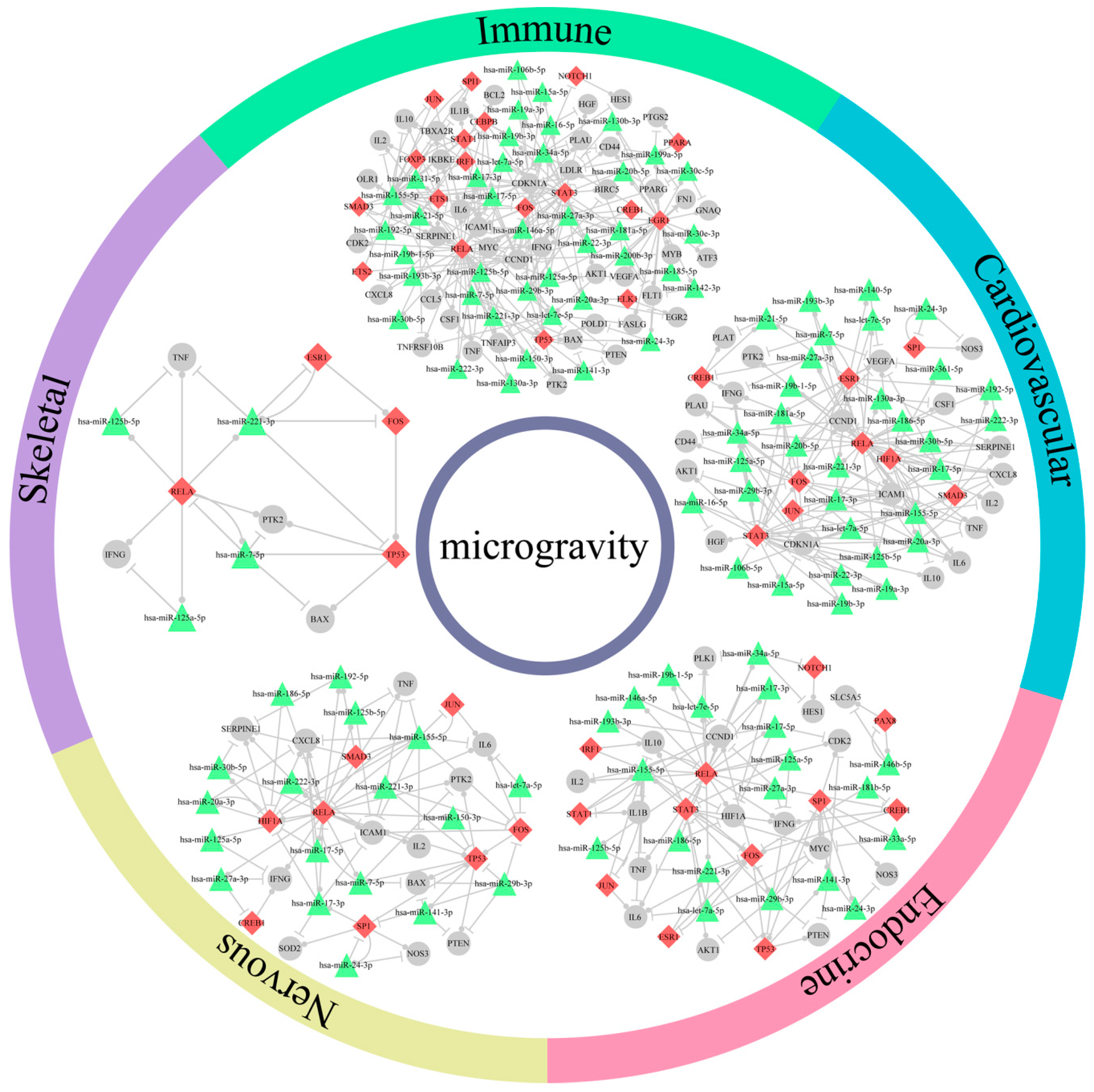 Ijms 21 07585 g003 Ijms 21 07585 g003