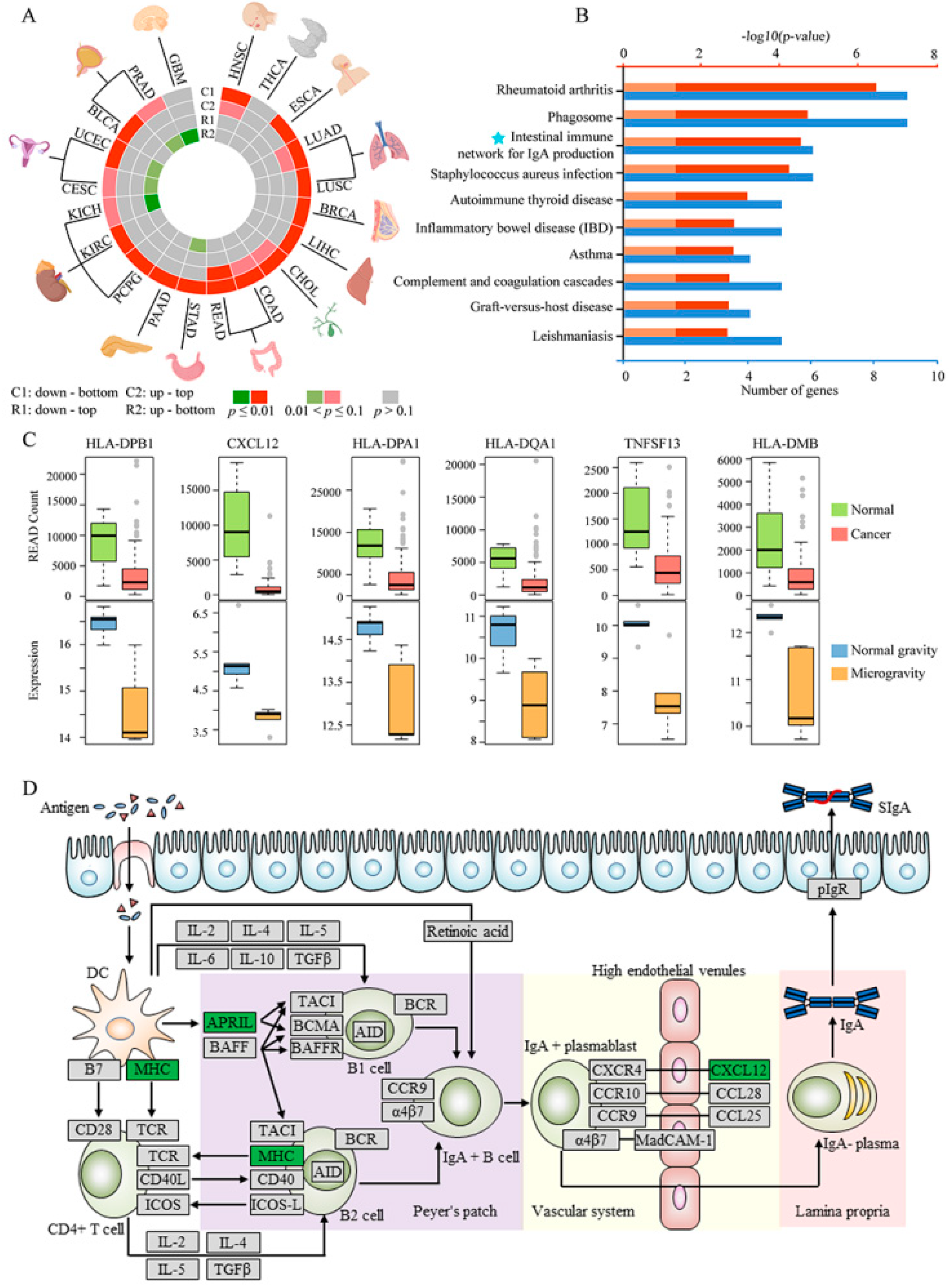 Ijms 21 07585 g005 Ijms 21 07585 g005