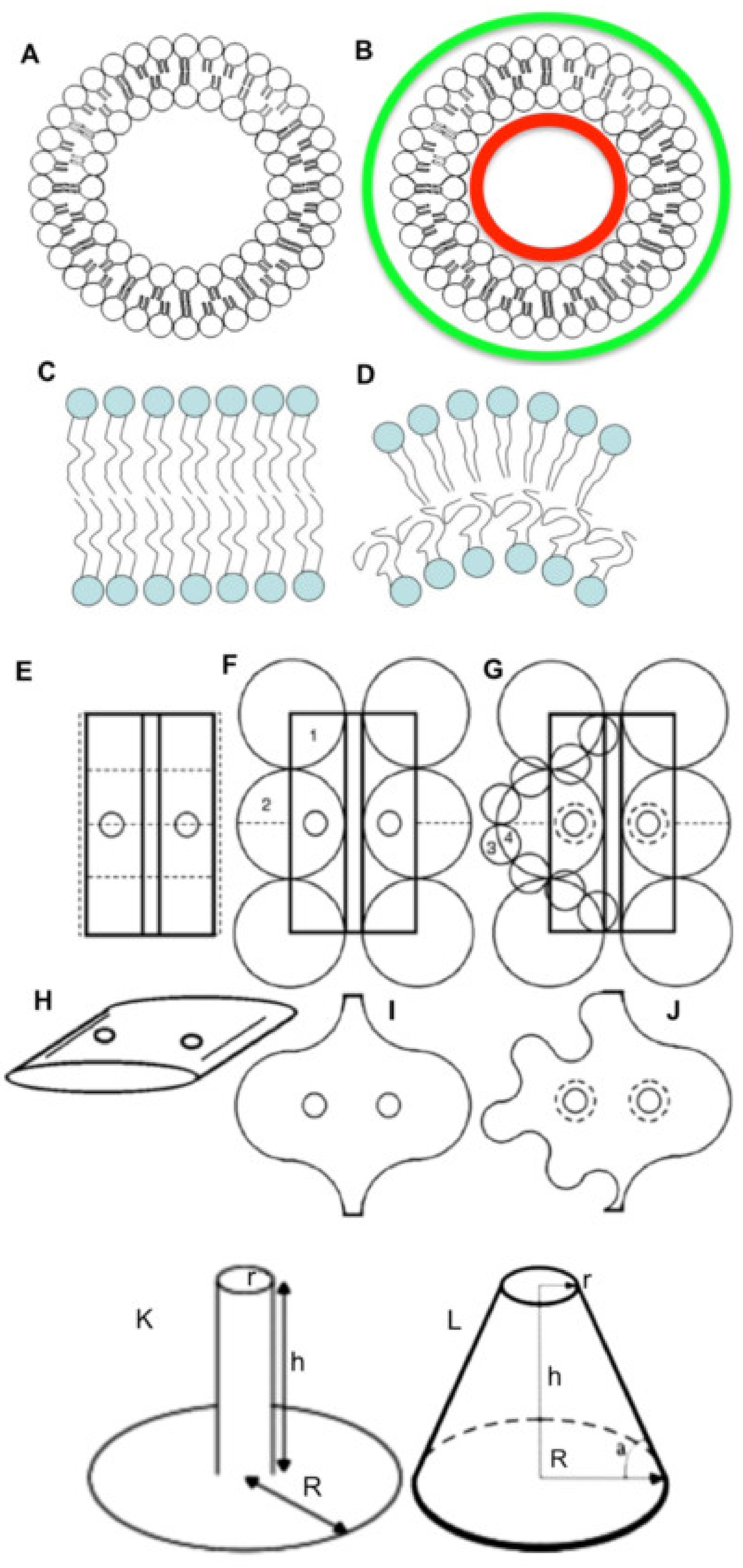 Ijms 21 07594 g001 Ijms 21 07594 g001
