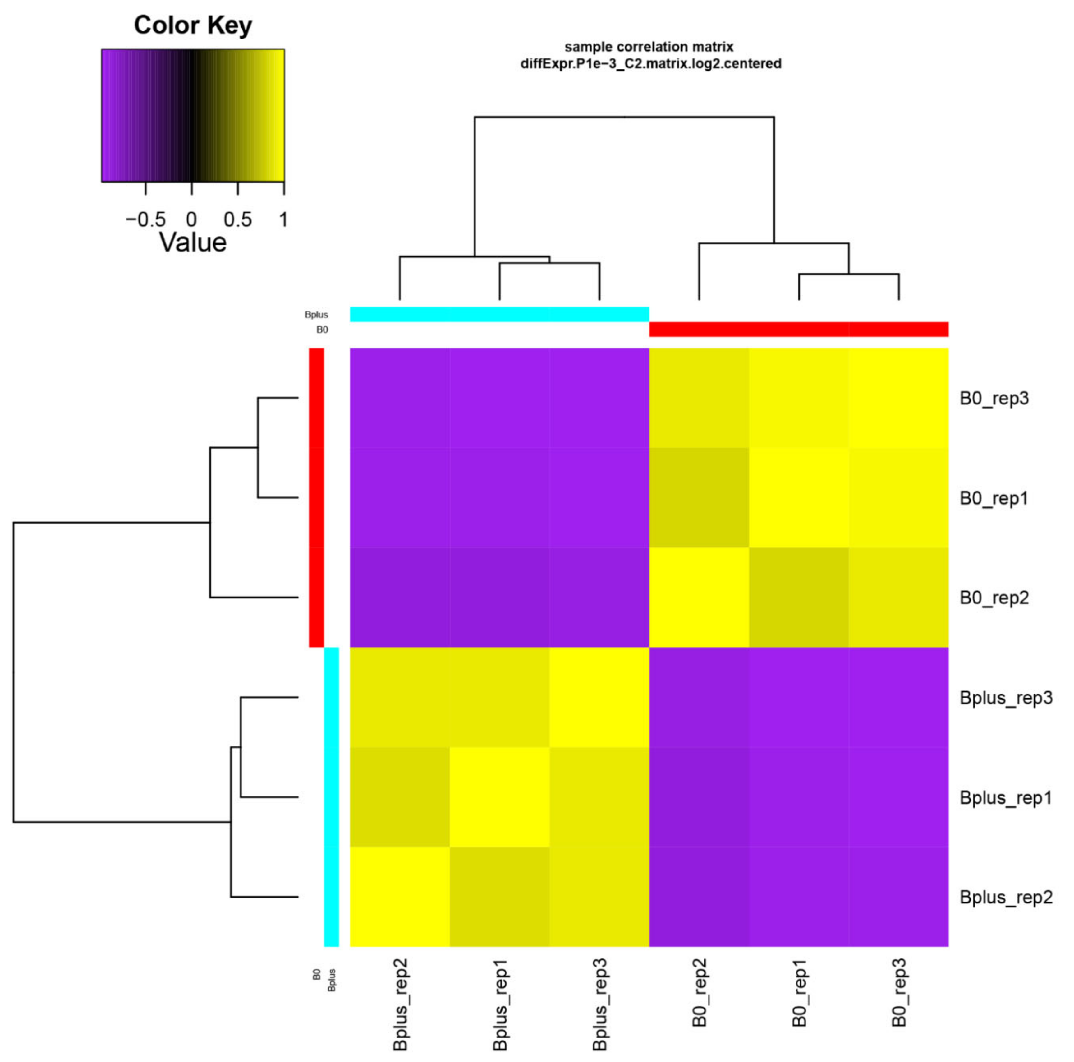 Ijms 21 07596 g003 Ijms 21 07596 g003